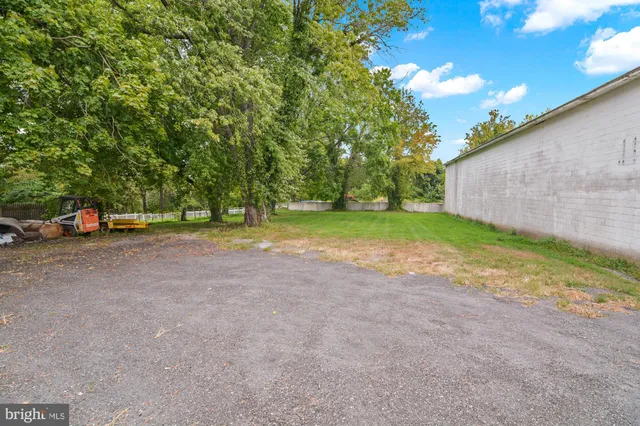 a view of road with large trees