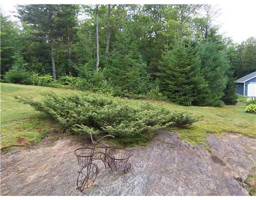 291 Rollins Ridge Road Dixfield, ME 04224 - Photo 20 of 21 Land/Lot.