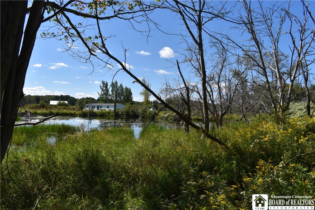 Round Top Road Forestville, NY 14062 - Photo 5 of 20 Gallery Image 5