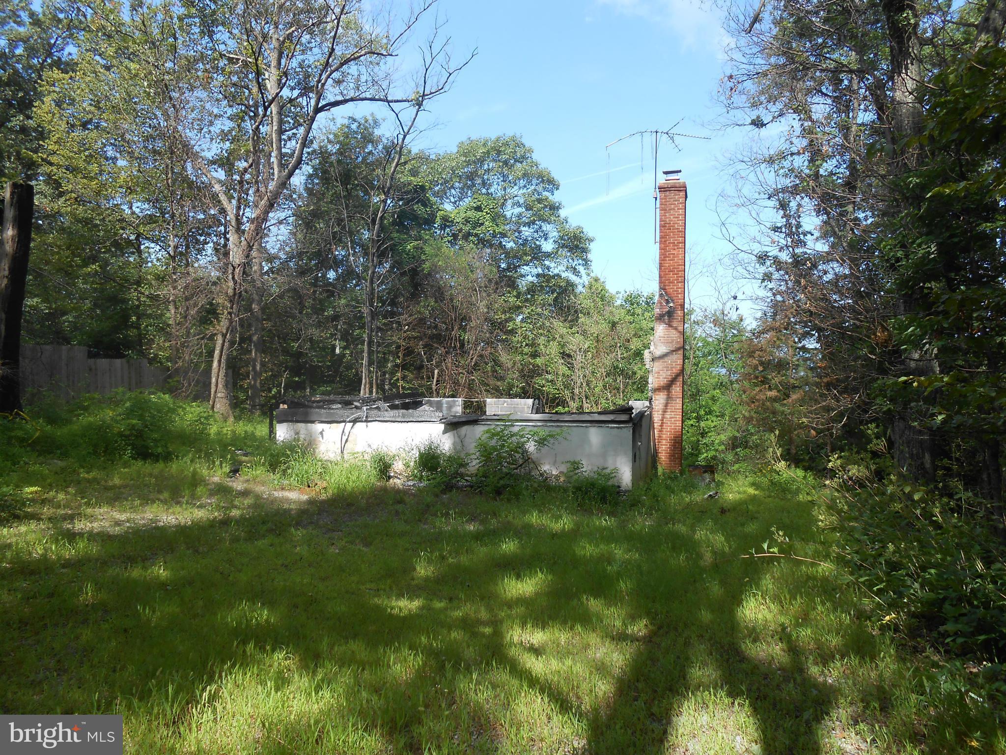 2008 High Top Road Linden, VA 22642 - Photo 3 of 4 Exterior (Front)