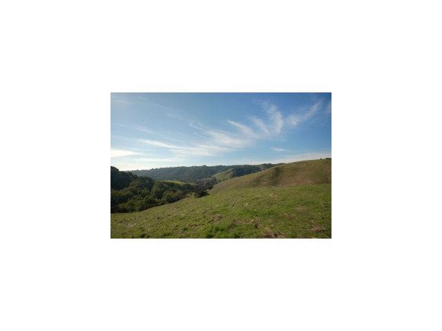6783 Crow Canyon Road Castro Valley, CA 94552 - Photo 6 of 9 Gallery Image 6