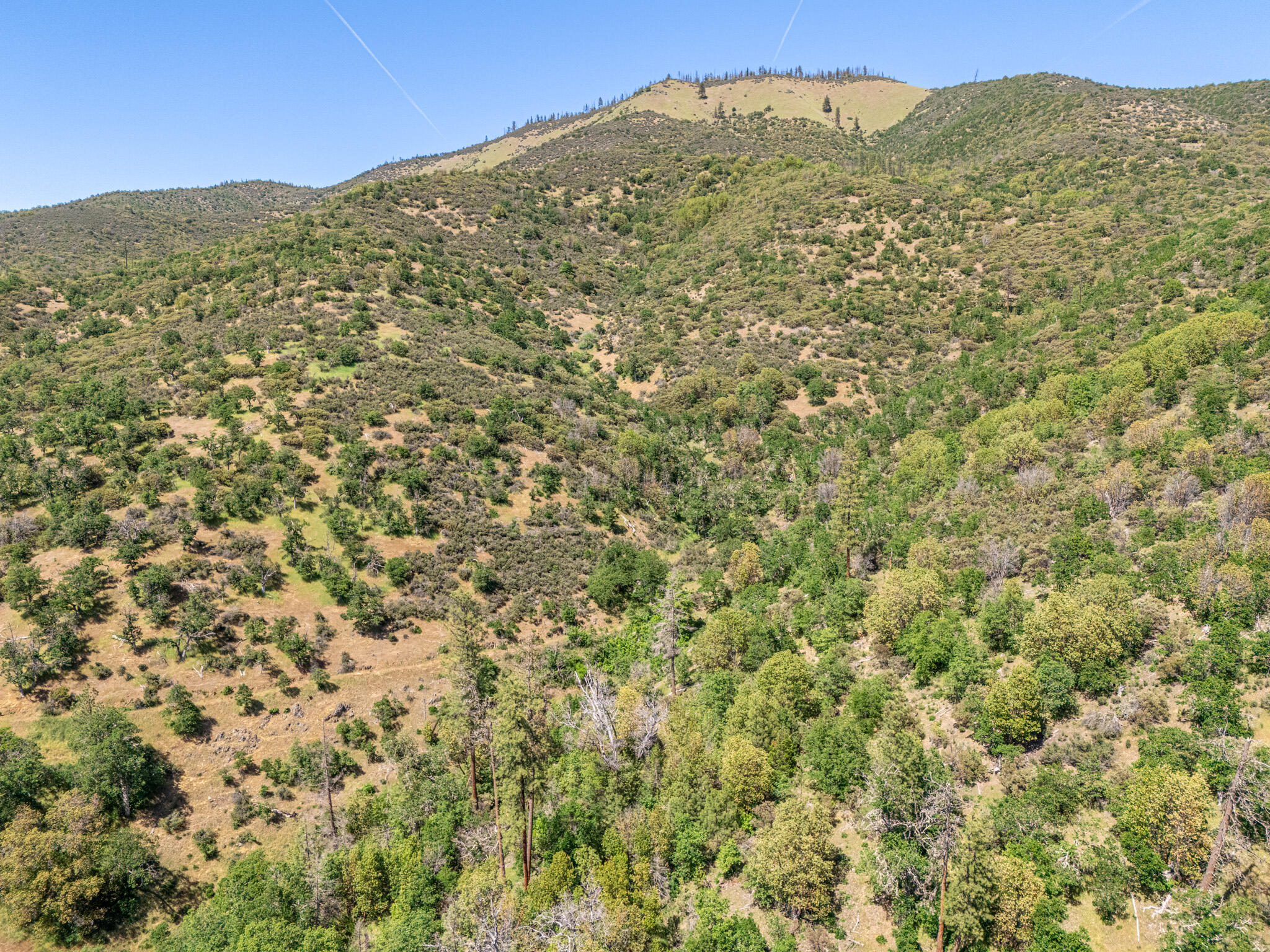 6180 Little Applegate Road Jacksonville, OR 97530 - Photo 57 of 59 DJI_20250520150523_0279_D-HDR