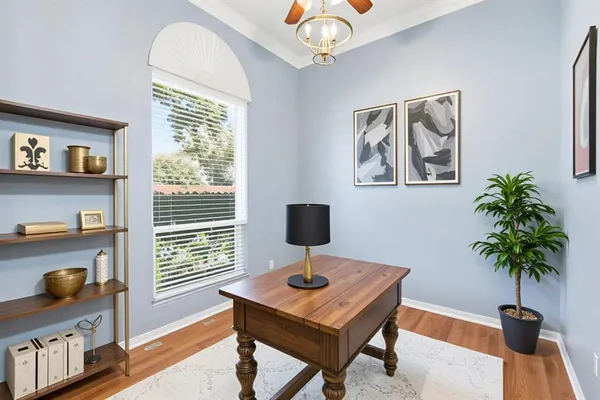 a living room with furniture and a potted plant