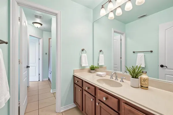 a bathroom with a granite countertop sink a potted plant and a mirror