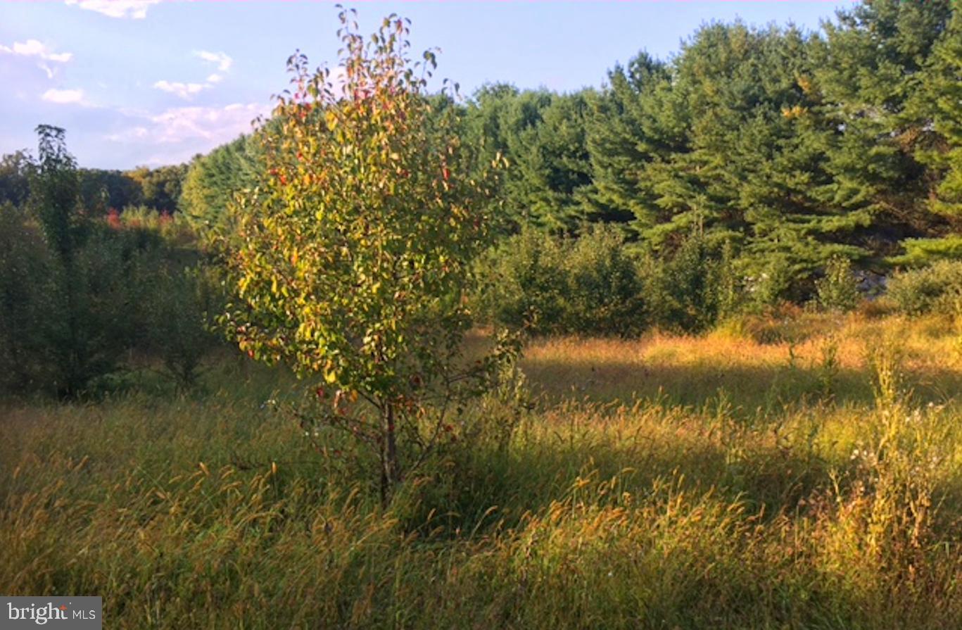 2250 Engle Road Fallston, MD 21047 - Photo 4 of 6