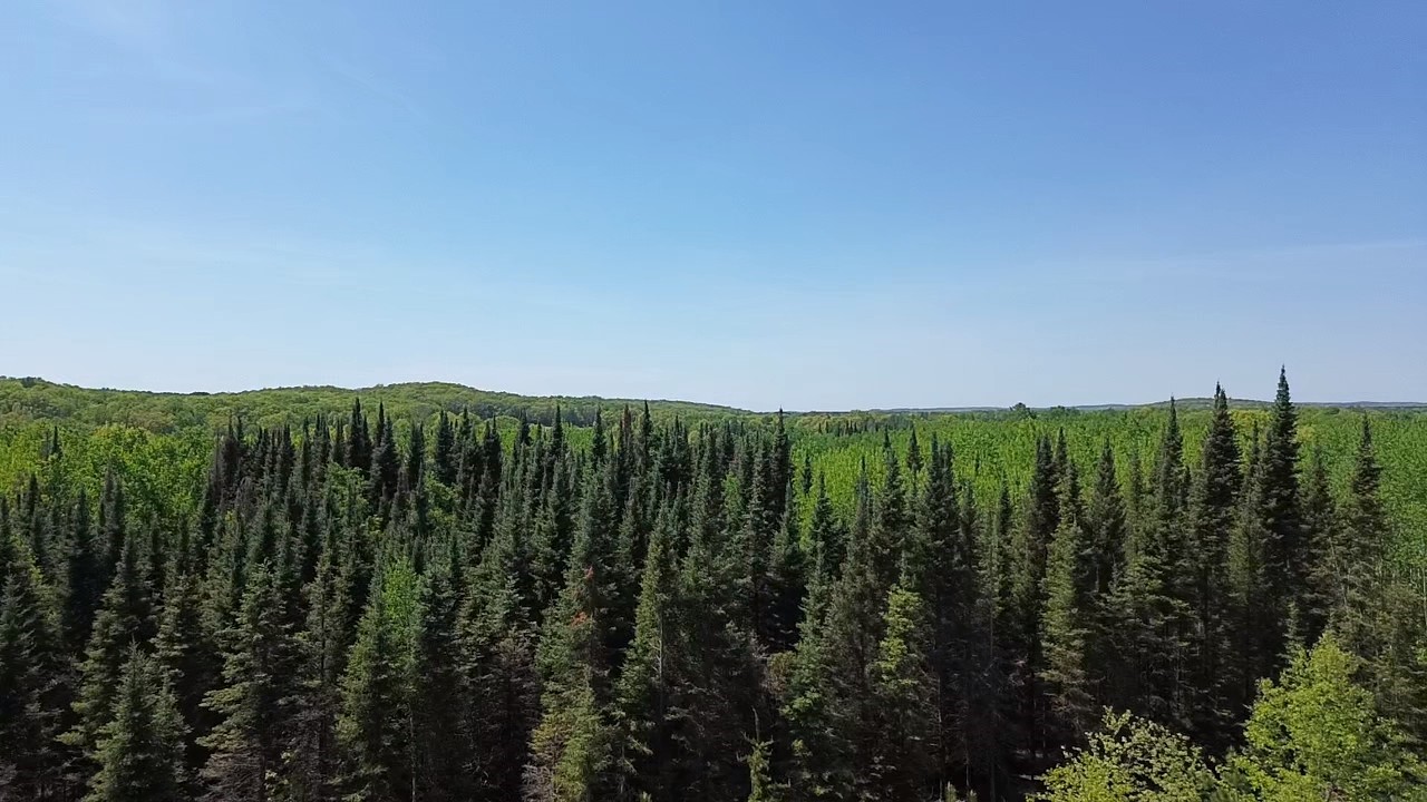 349 X 5th Avenue Shell Lake, WI 54871 - Photo 25 of 37