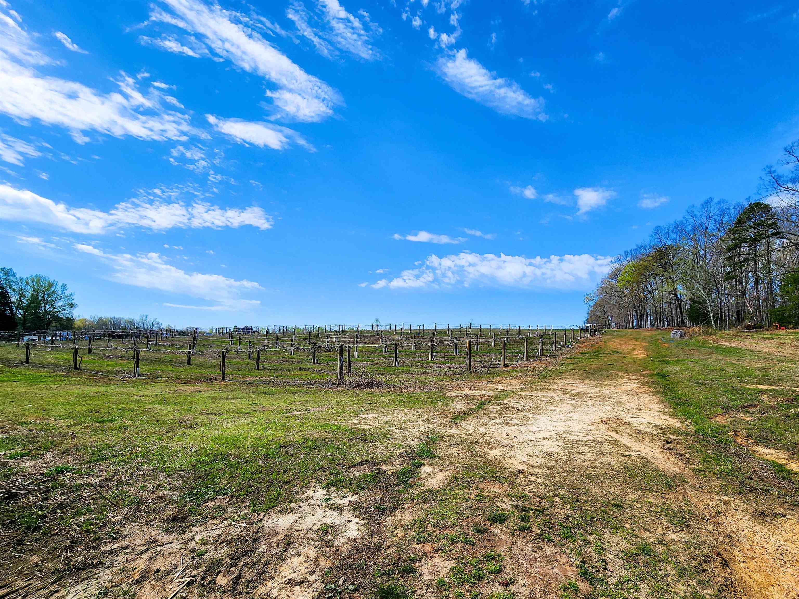 310 Sarratt Creek Road Gaffney, SC 29341 - Photo 1 of 36