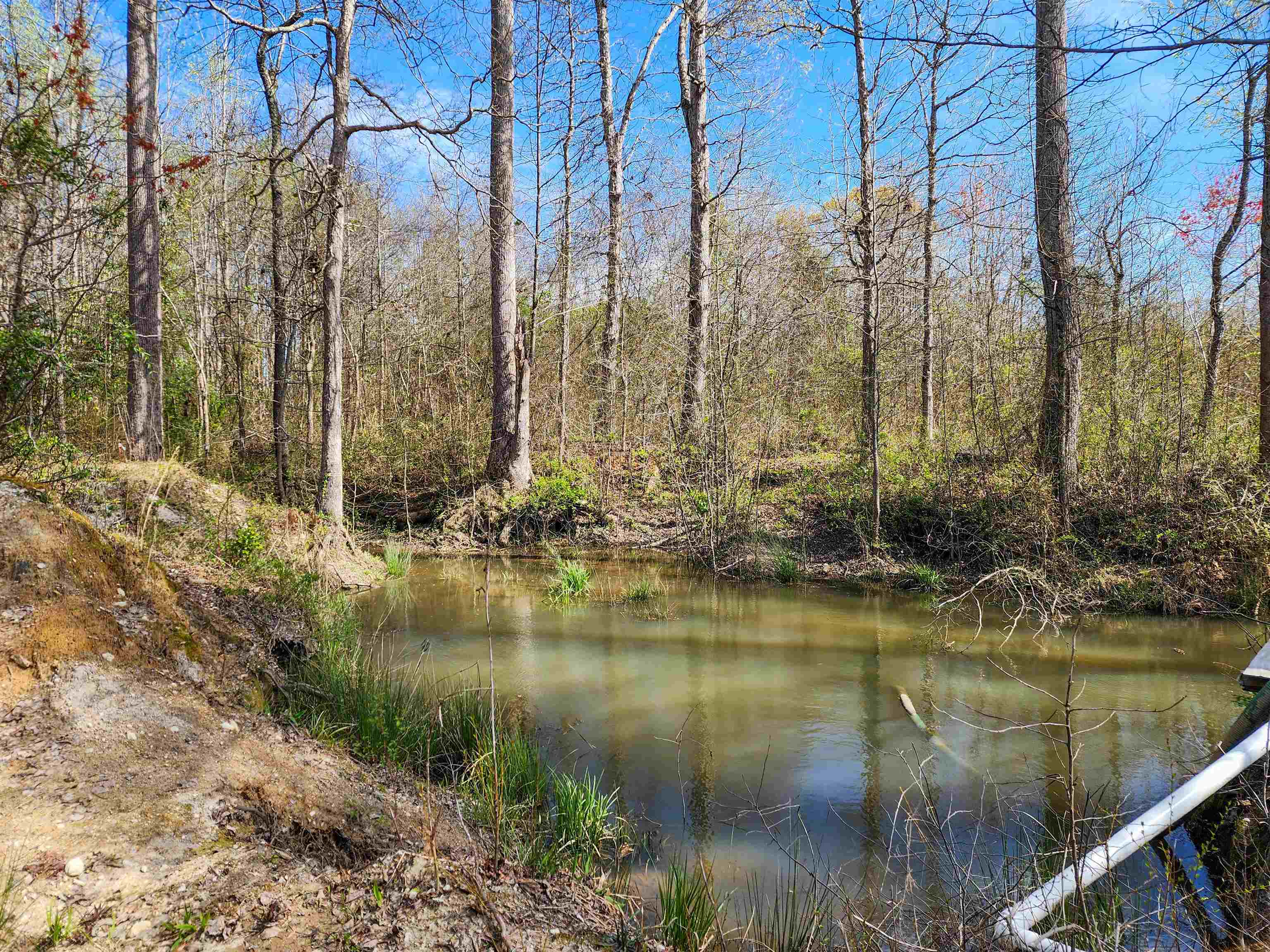 310 Sarratt Creek Road Gaffney, SC 29341 - Photo 12 of 36