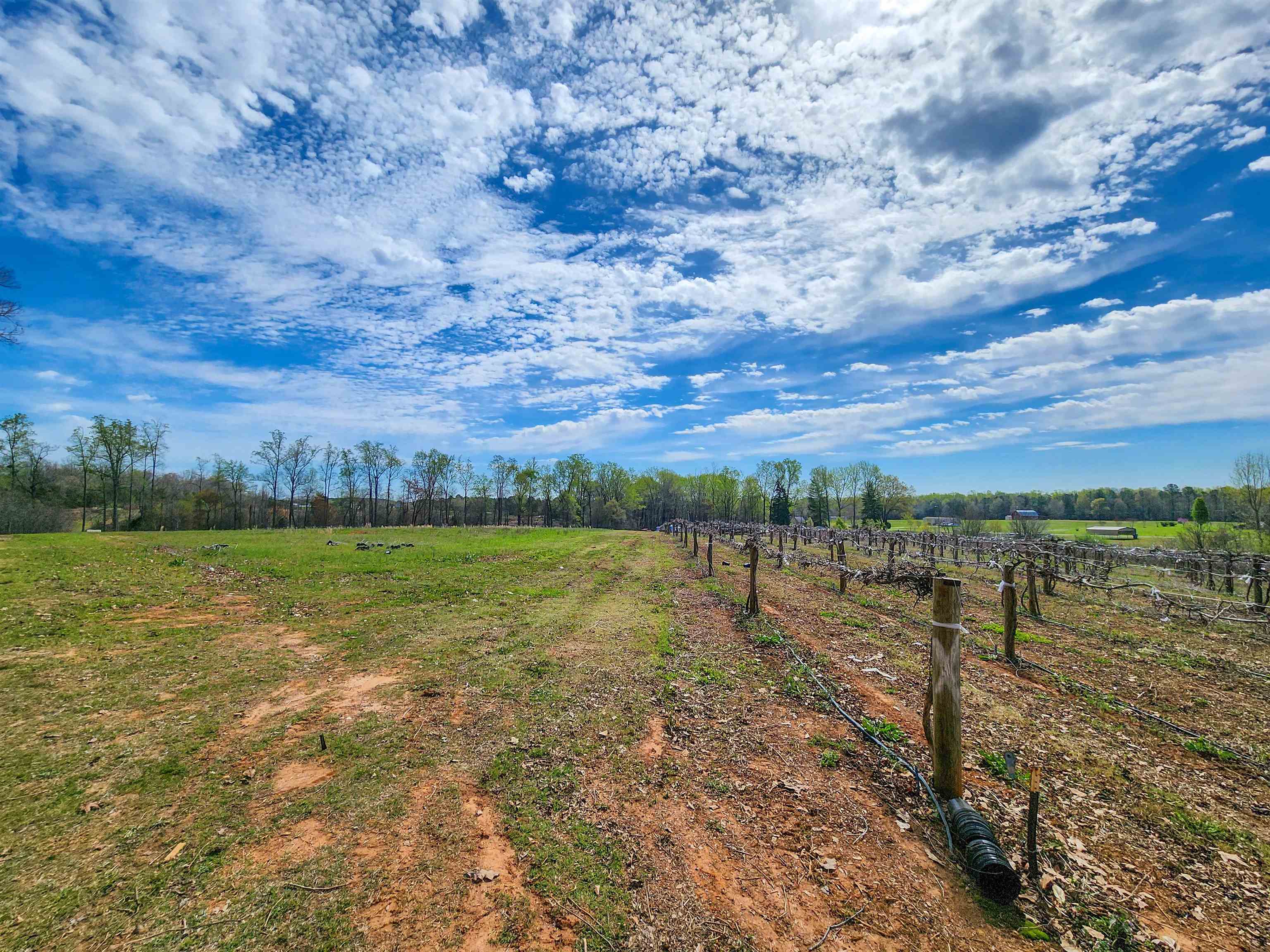 310 Sarratt Creek Road Gaffney, SC 29341 - Photo 13 of 36
