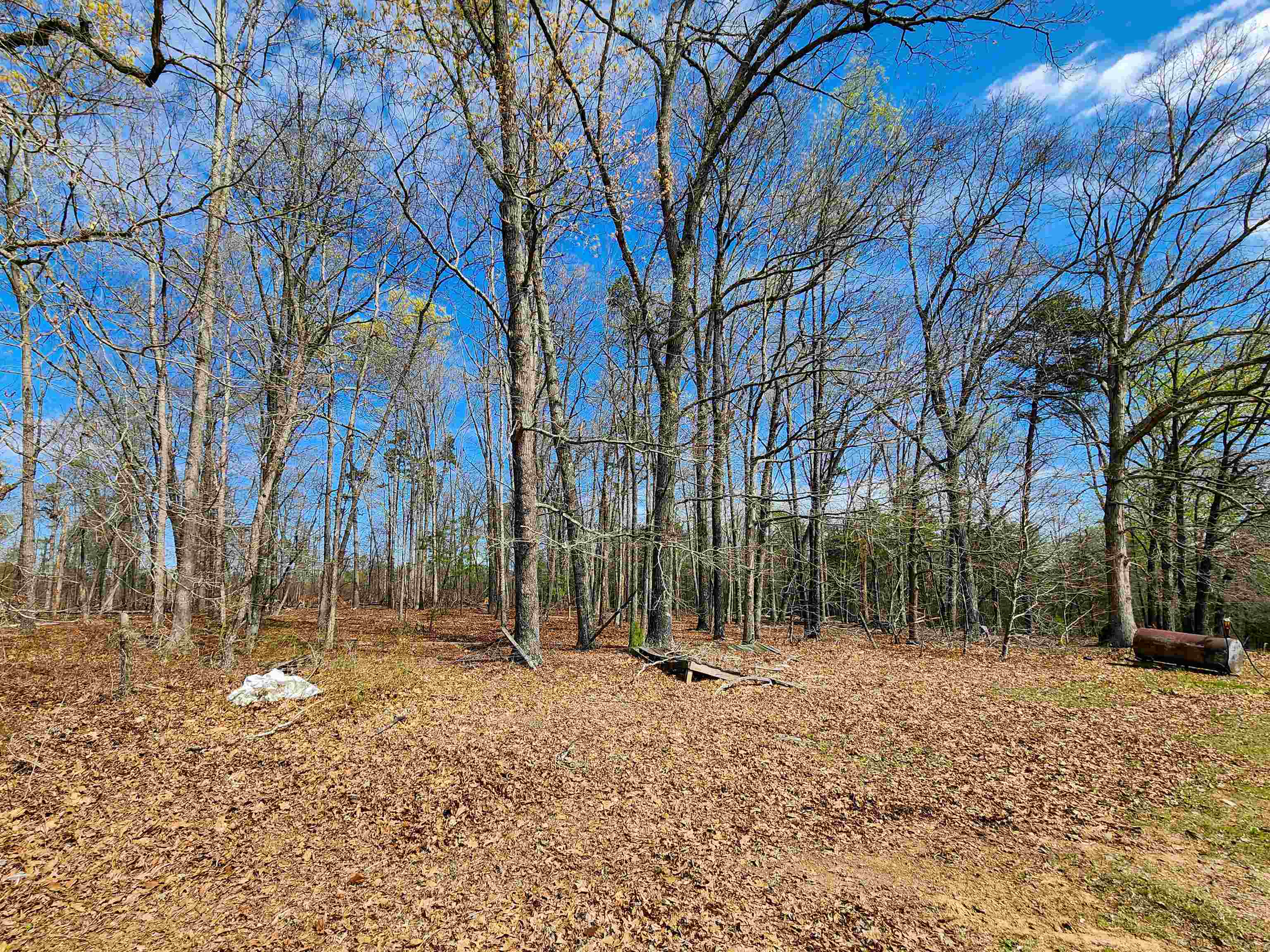310 Sarratt Creek Road Gaffney, SC 29341 - Photo 14 of 36