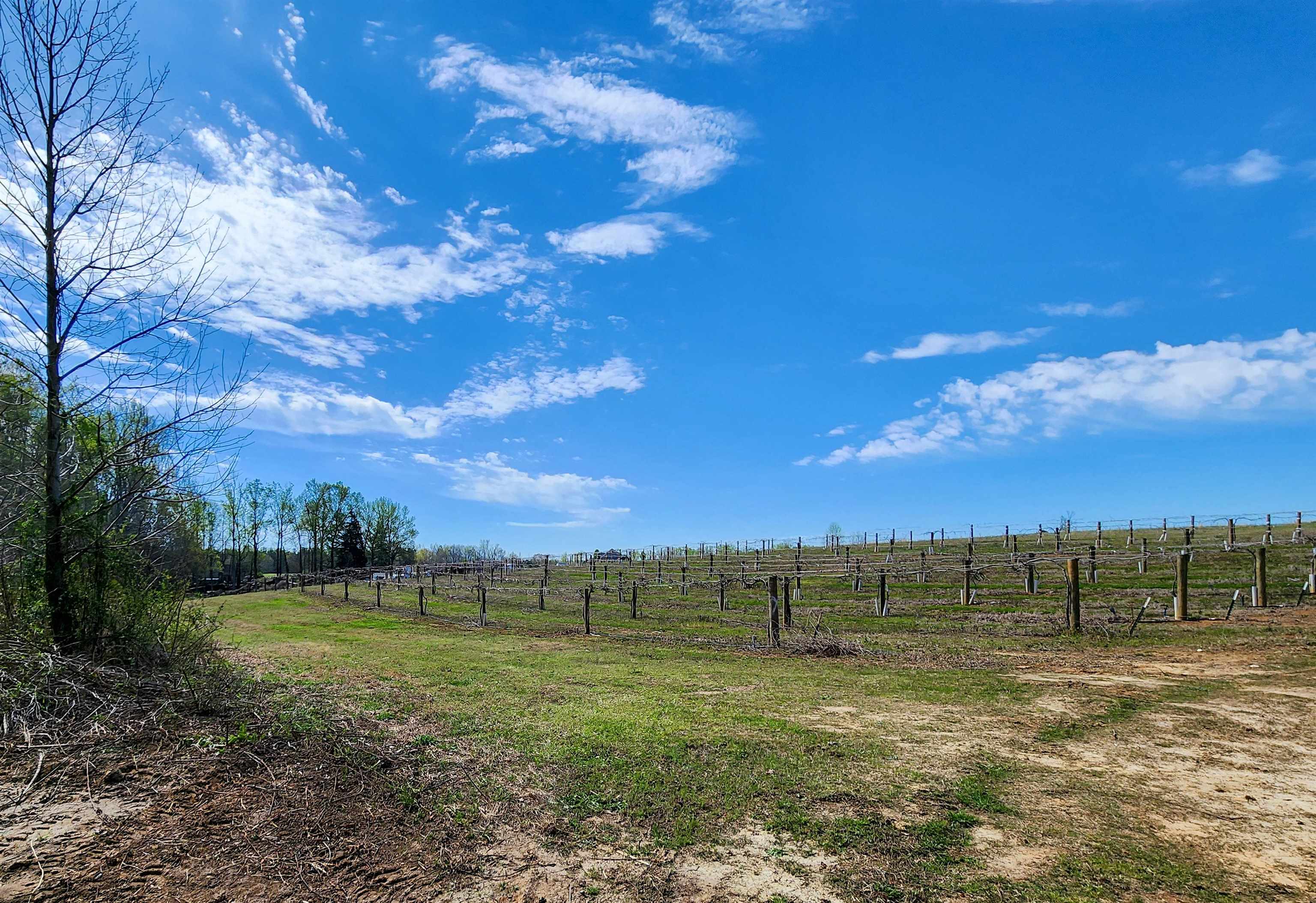 310 Sarratt Creek Road Gaffney, SC 29341 - Photo 4 of 36