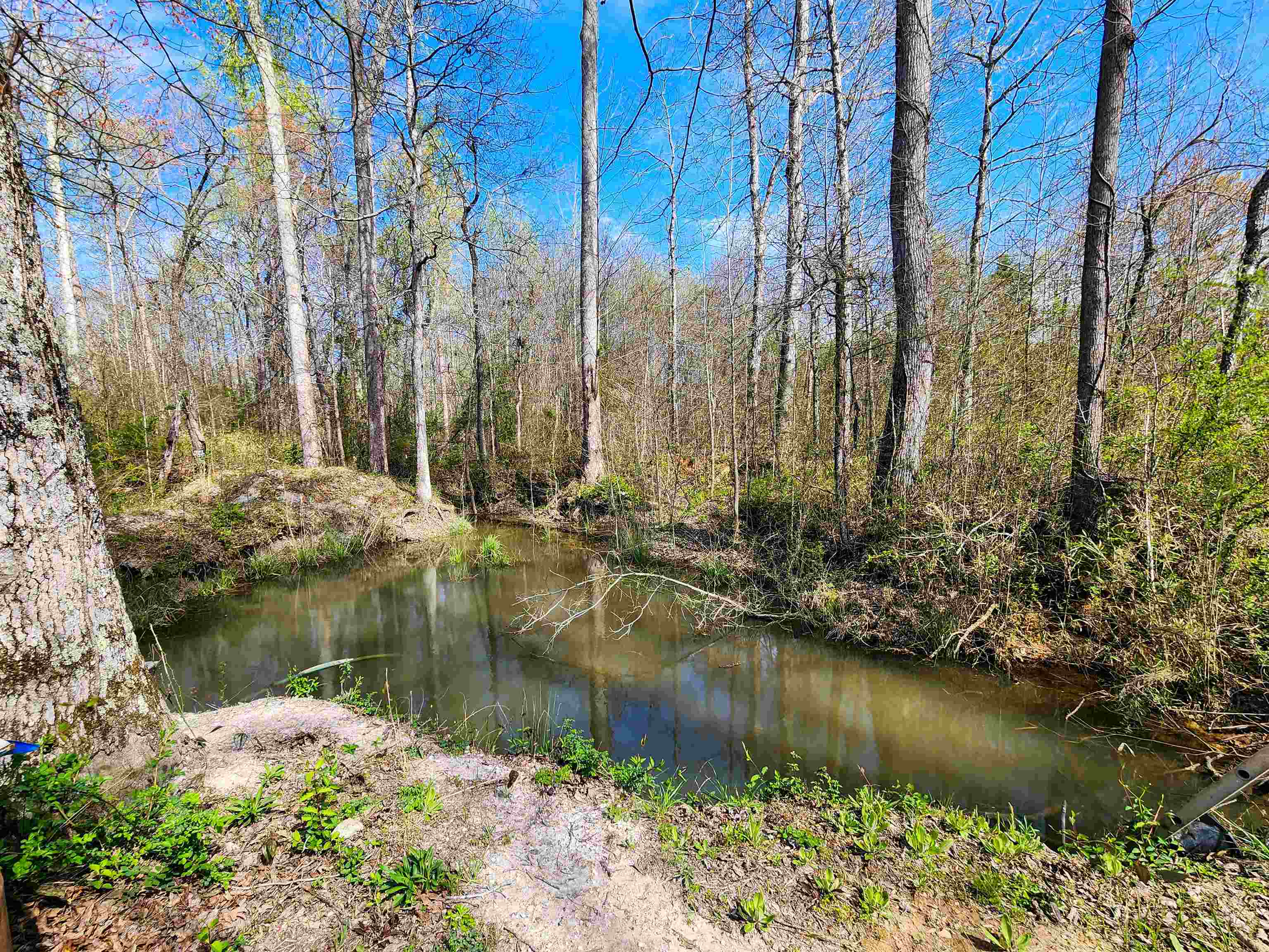 310 Sarratt Creek Road Gaffney, SC 29341 - Photo 5 of 36