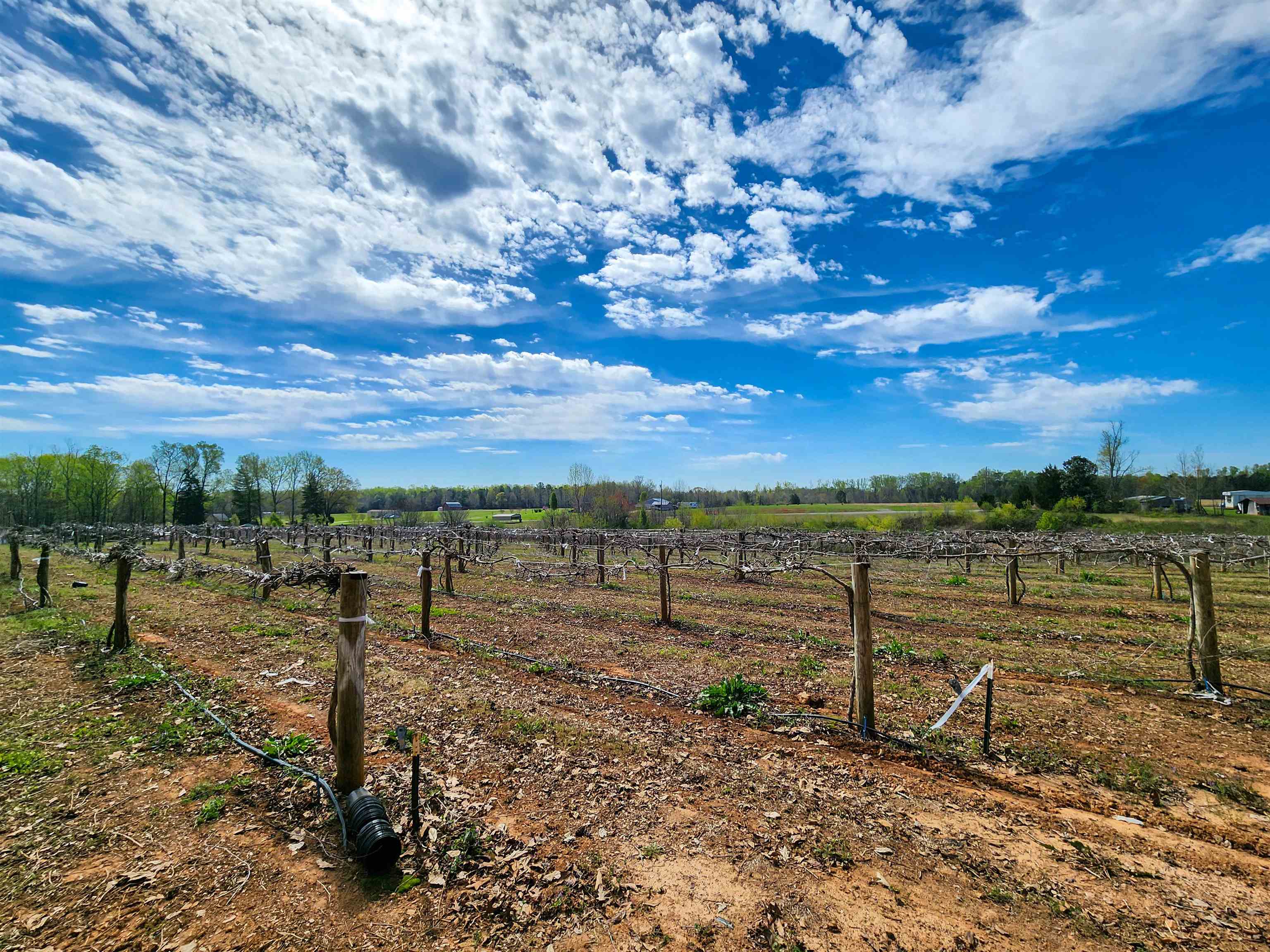 310 Sarratt Creek Road Gaffney, SC 29341 - Photo 8 of 36