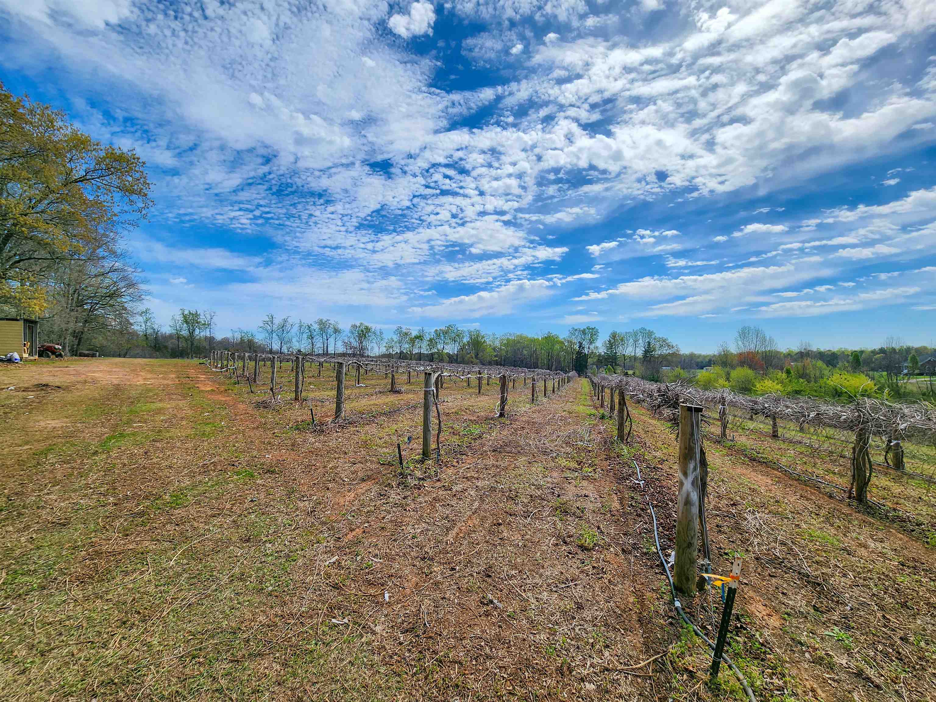 310 Sarratt Creek Road Gaffney, SC 29341 - Photo 10 of 36
