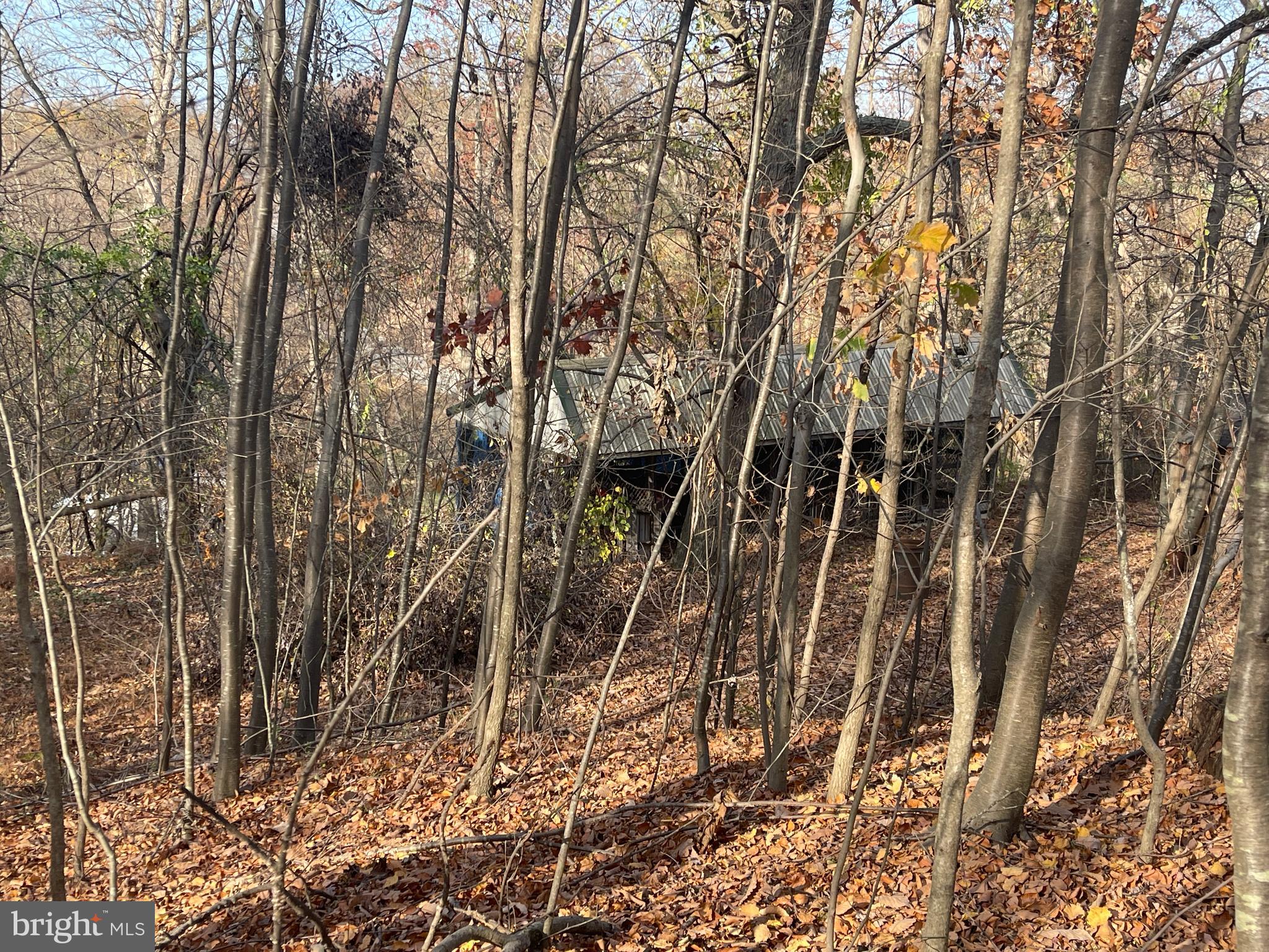 334 Cedar Hill Road Peach Bottom, PA 17563 - Photo 35 of 89 Gallery Image 35