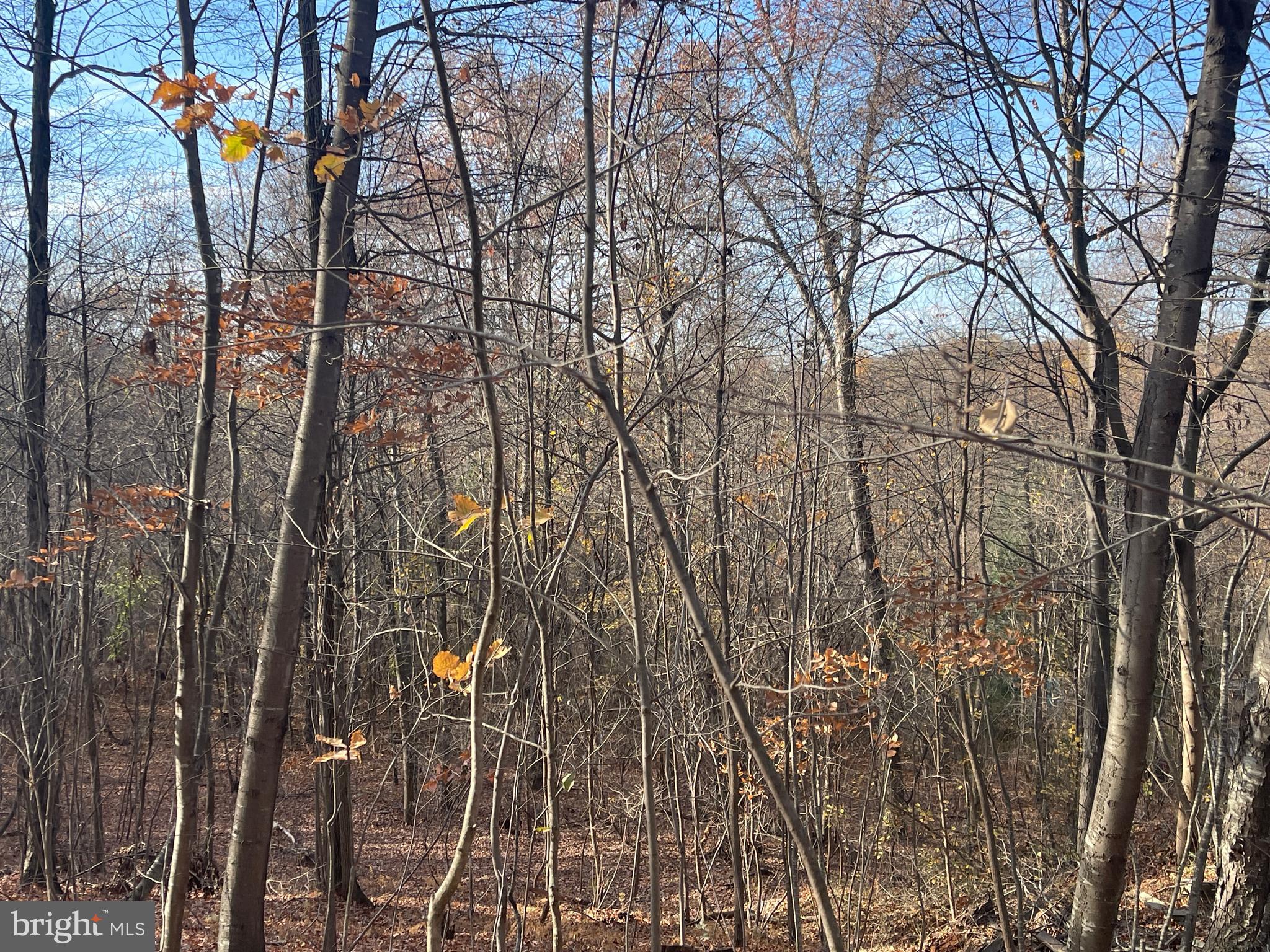 334 Cedar Hill Road Peach Bottom, PA 17563 - Photo 37 of 89 Gallery Image 37