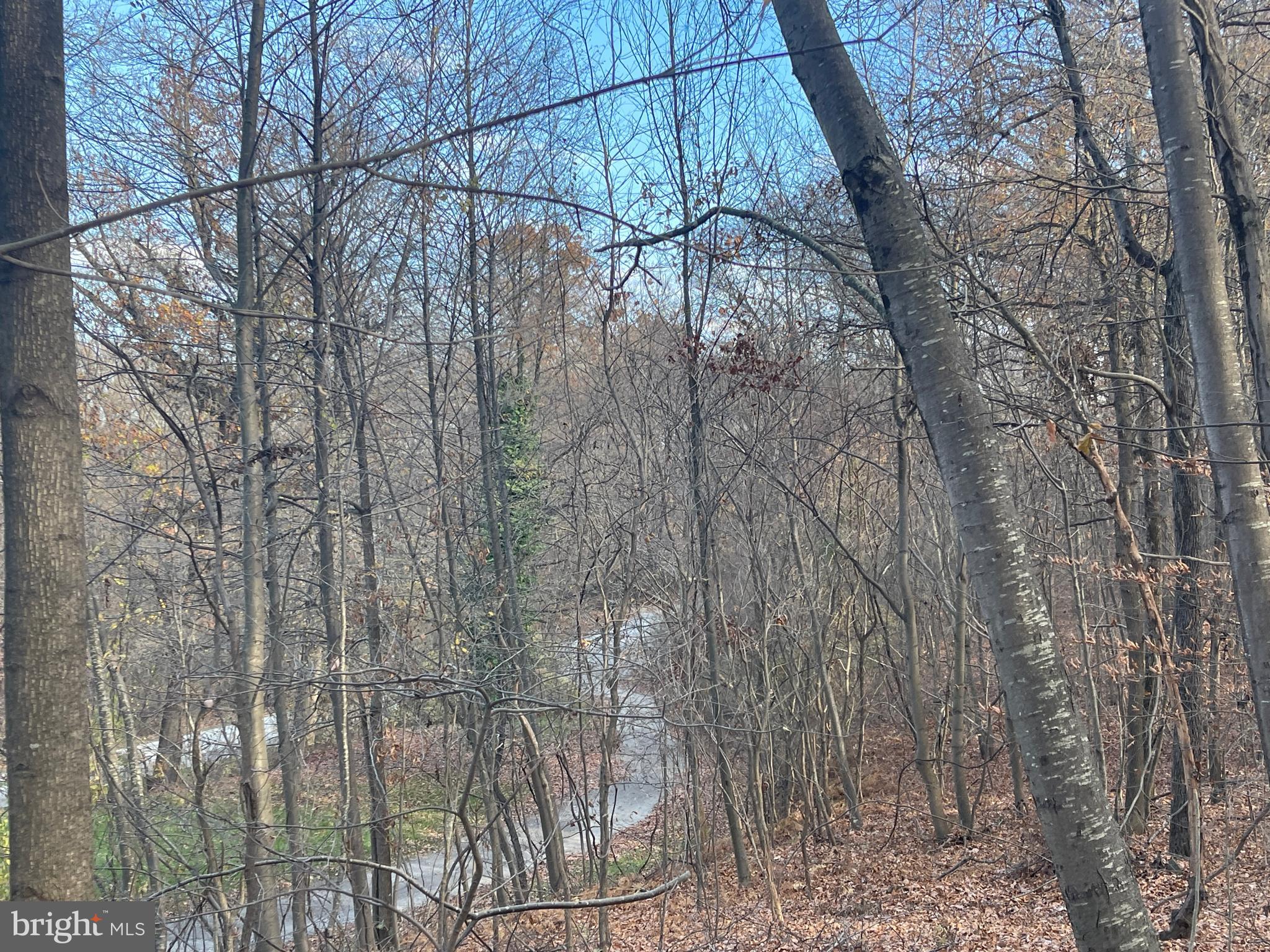 334 Cedar Hill Road Peach Bottom, PA 17563 - Photo 39 of 89 Gallery Image 39