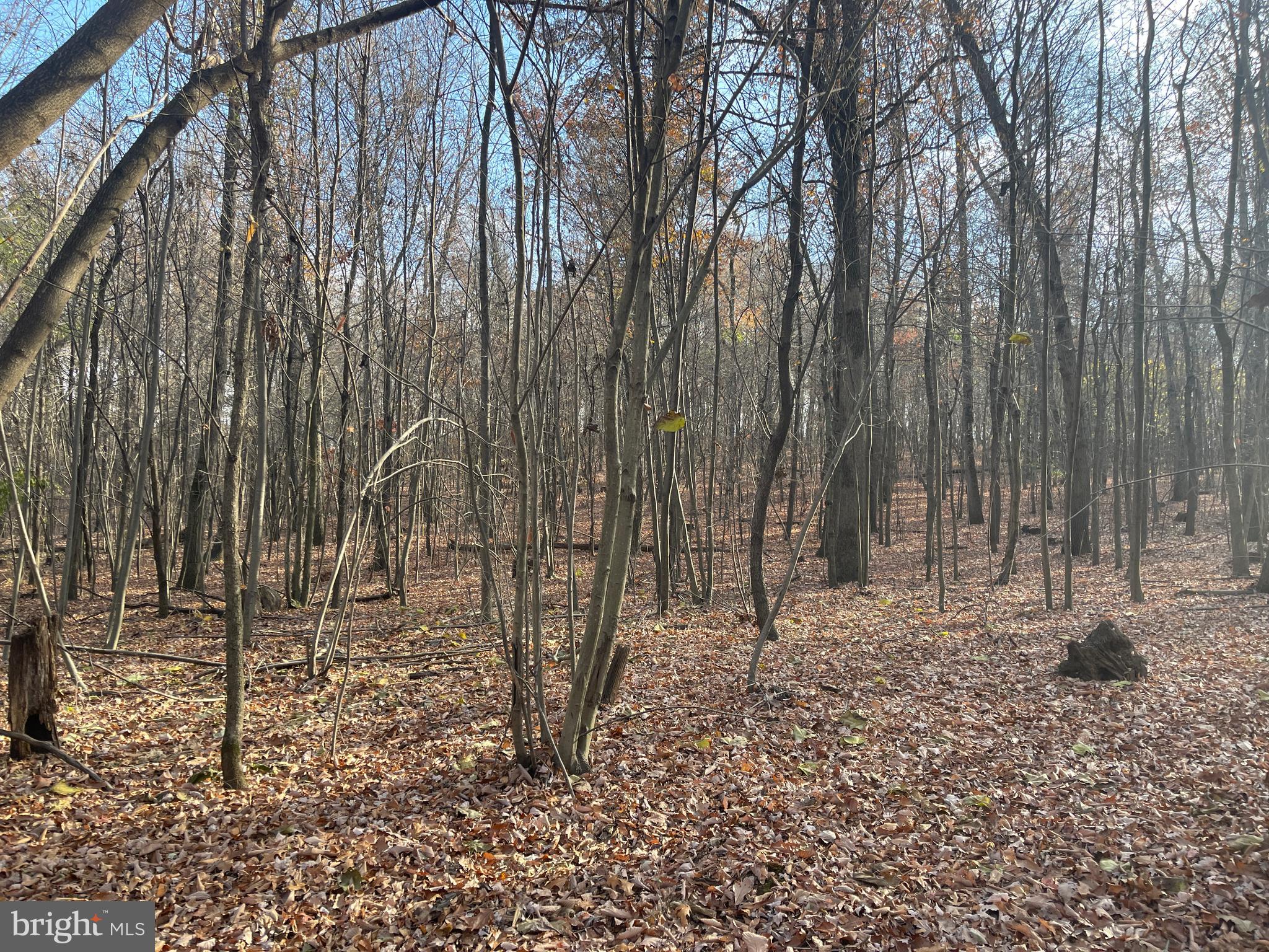 334 Cedar Hill Road Peach Bottom, PA 17563 - Photo 53 of 89 Gallery Image 53