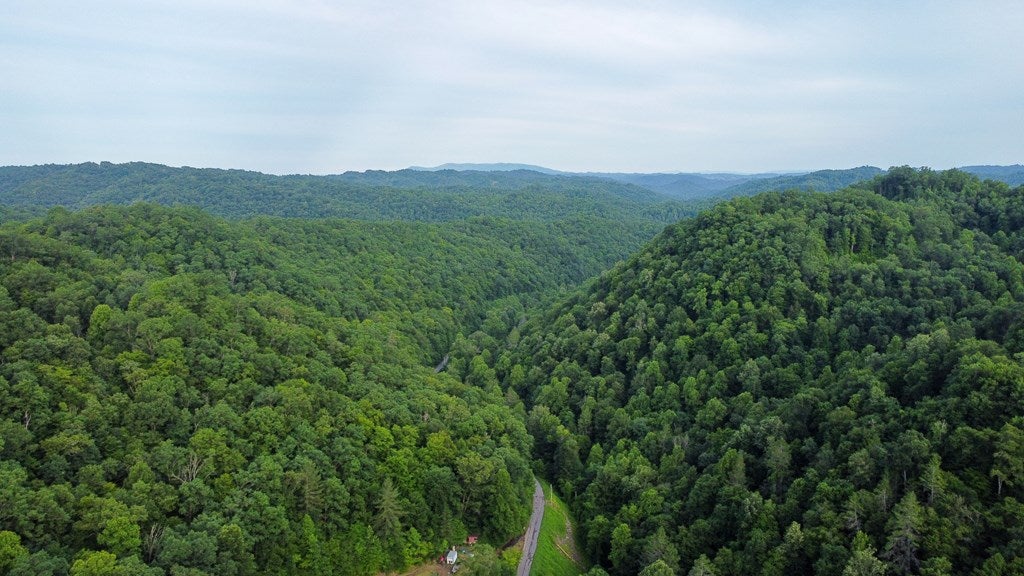 3659 Cranenest Road Vansant, VA 24656 - Photo 50 of 60 Gallery Image 50