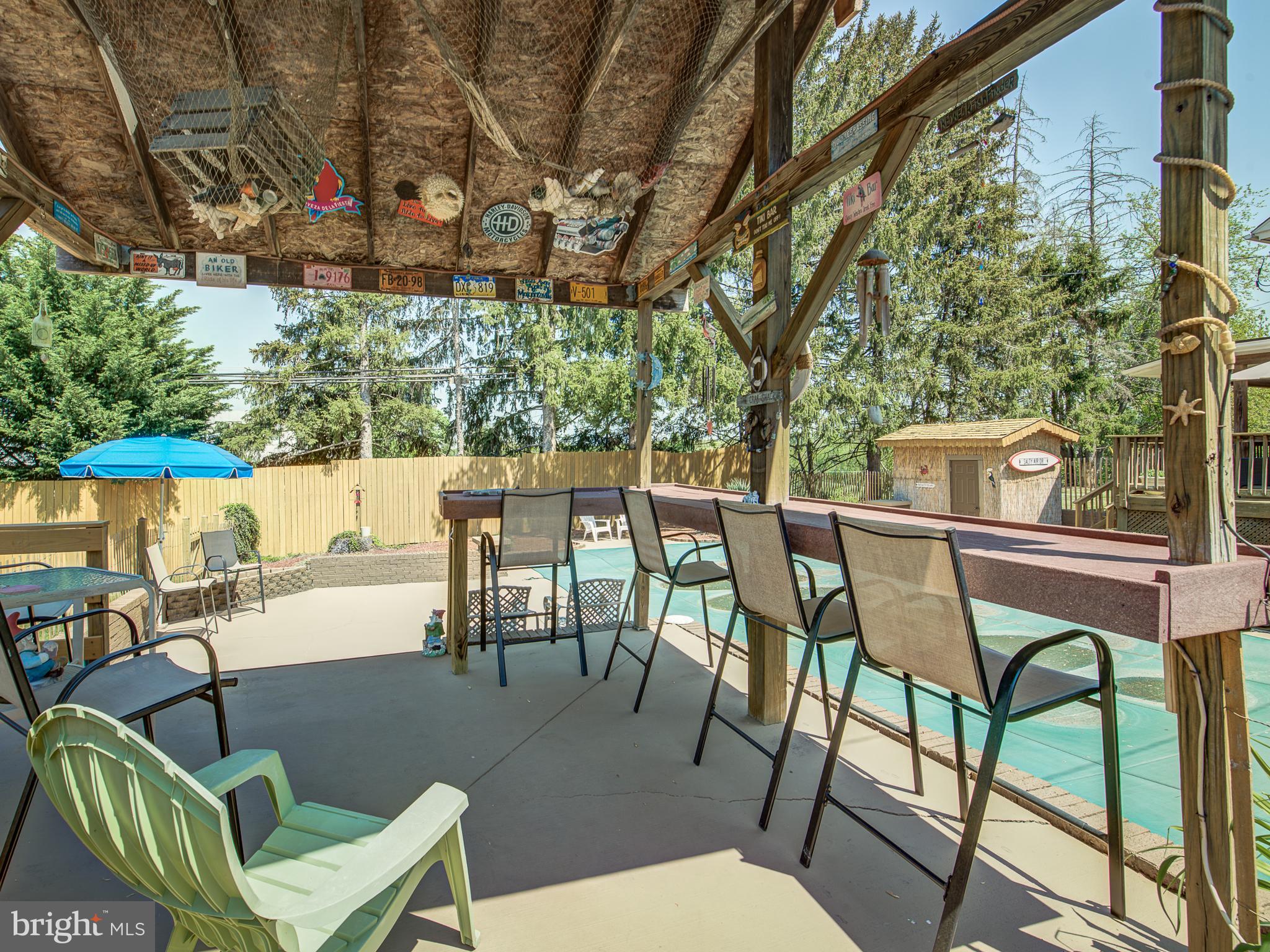 9924 Kelly Road Frederick, MD 21701 - Photo 8 of 32 Tiki Bar