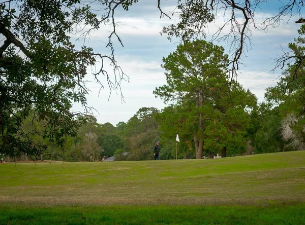 a view of a field with an trees