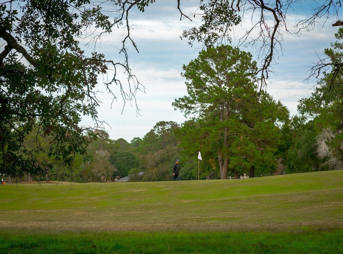 90 Meadowview Drive Trinity, TX 75862 - Photo 16 of 35 a view of a field with an trees