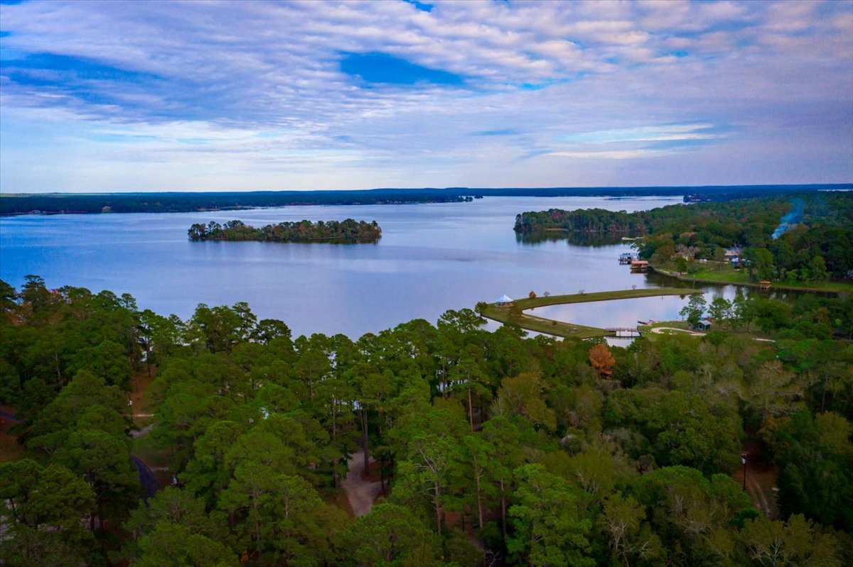 90 Meadowview Drive Trinity, TX 75862 - Photo 23 of 35 a view of a lake with houses in the back