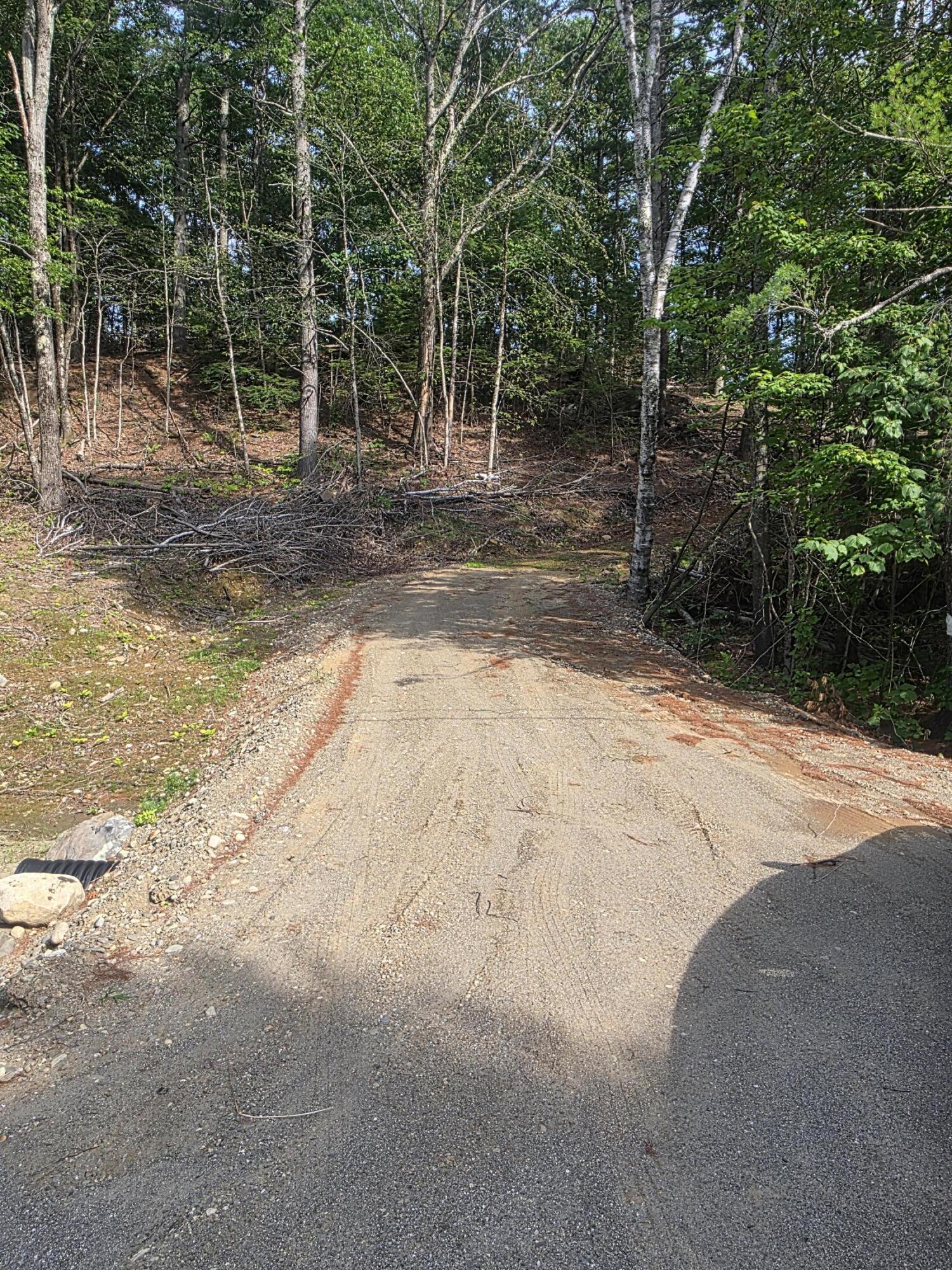 0 Pinnacle Road Liberty, ME 04949 - Photo 9 of 12