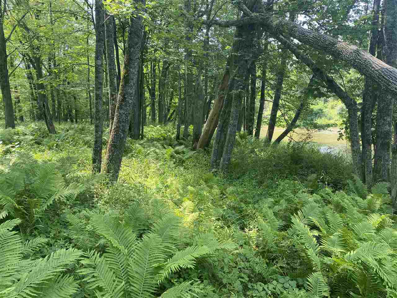 0 Briggs Road Omer, MI 48749 - Photo 5 of 45