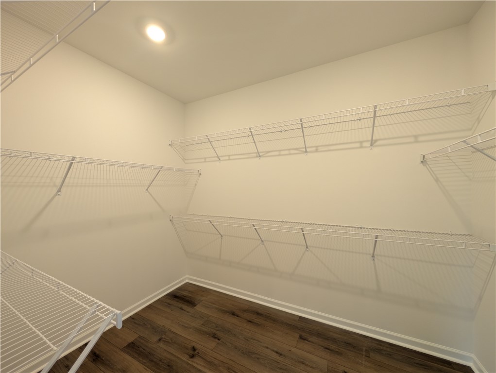 204 Bellflower Lane Pendleton, SC 29670 - Photo 15 of 22 Primary Walk-In Closet