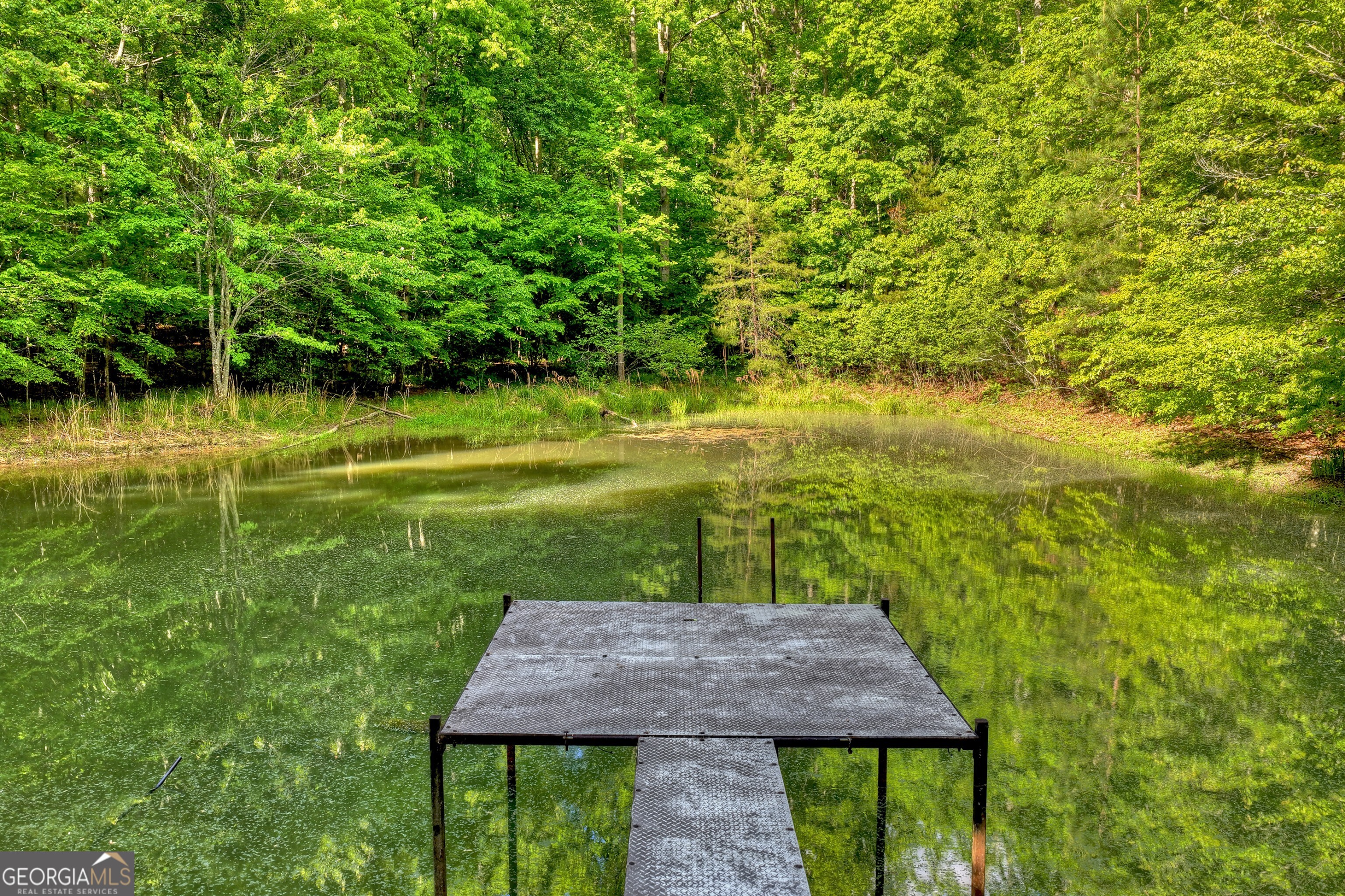 8-ac Mcnelley Road Morganton, GA 30560 - Photo 4 of 47