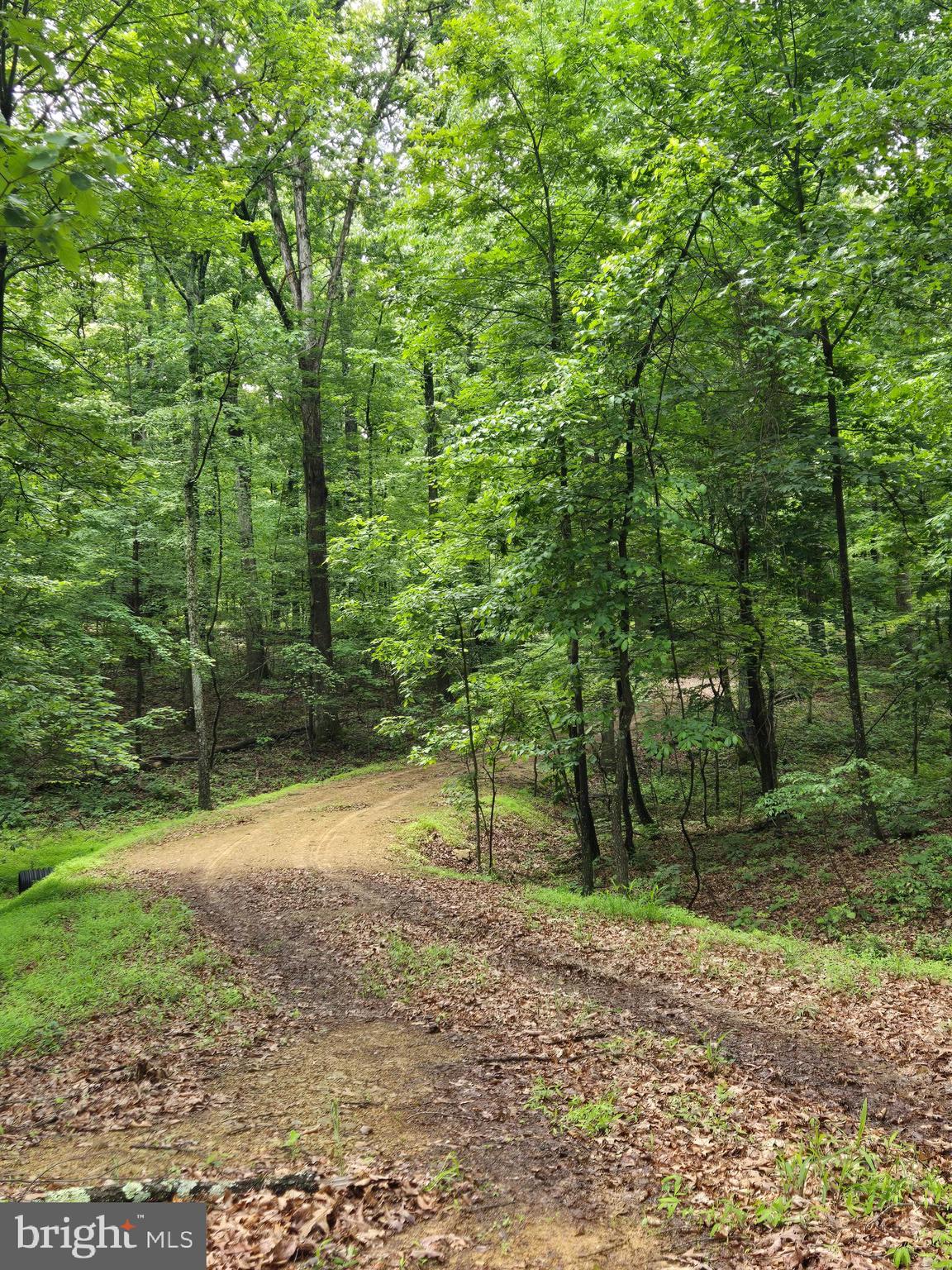 Cedar Grove Road Winchester, VA 22603 - Photo 11 of 11 a backyard of a house with lots of green space
