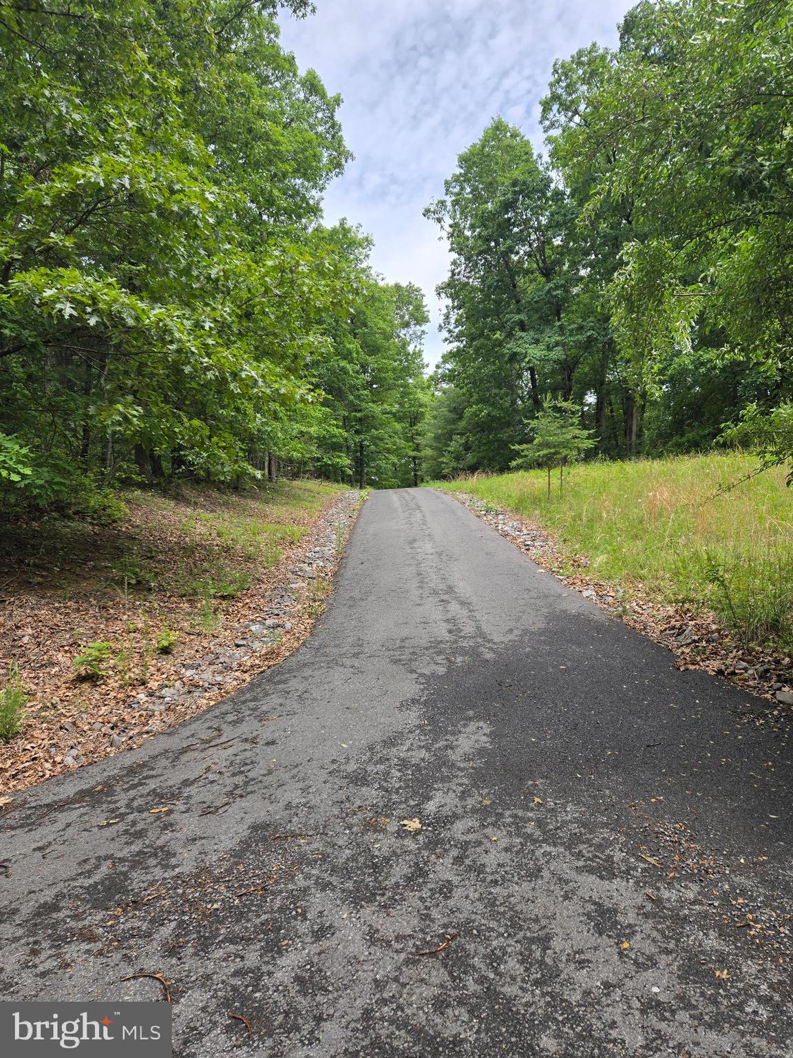 Cedar Grove Road Winchester, VA 22603 - Photo 2 of 11 a view of a yard with a tree