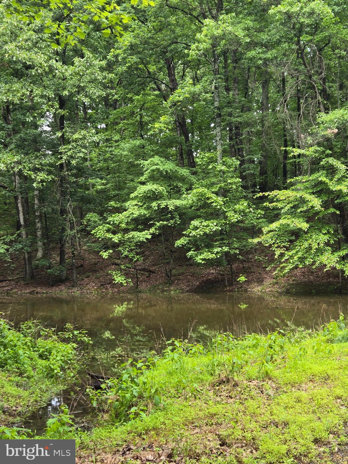 Cedar Grove Road Winchester, VA 22603 - Photo 4 of 11 a view of a lake from a yard