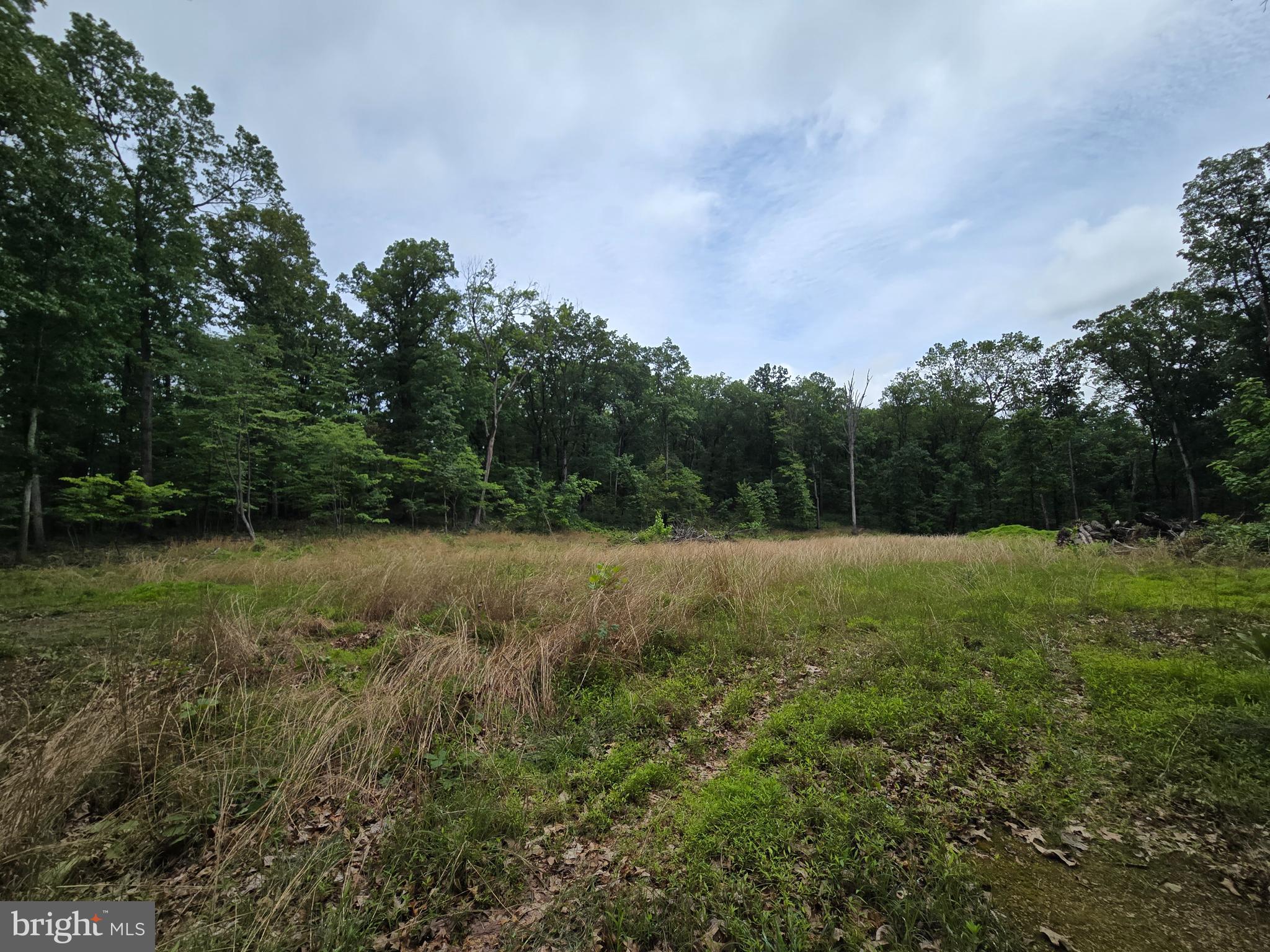 Cedar Grove Road Winchester, VA 22603 - Photo 10 of 11 a view of outdoor space and yard