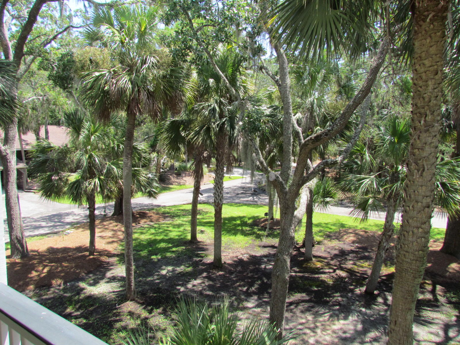 65 Rice Lane Edisto Beach, SC 29438 - Photo 15 of 42 IMG_2482
