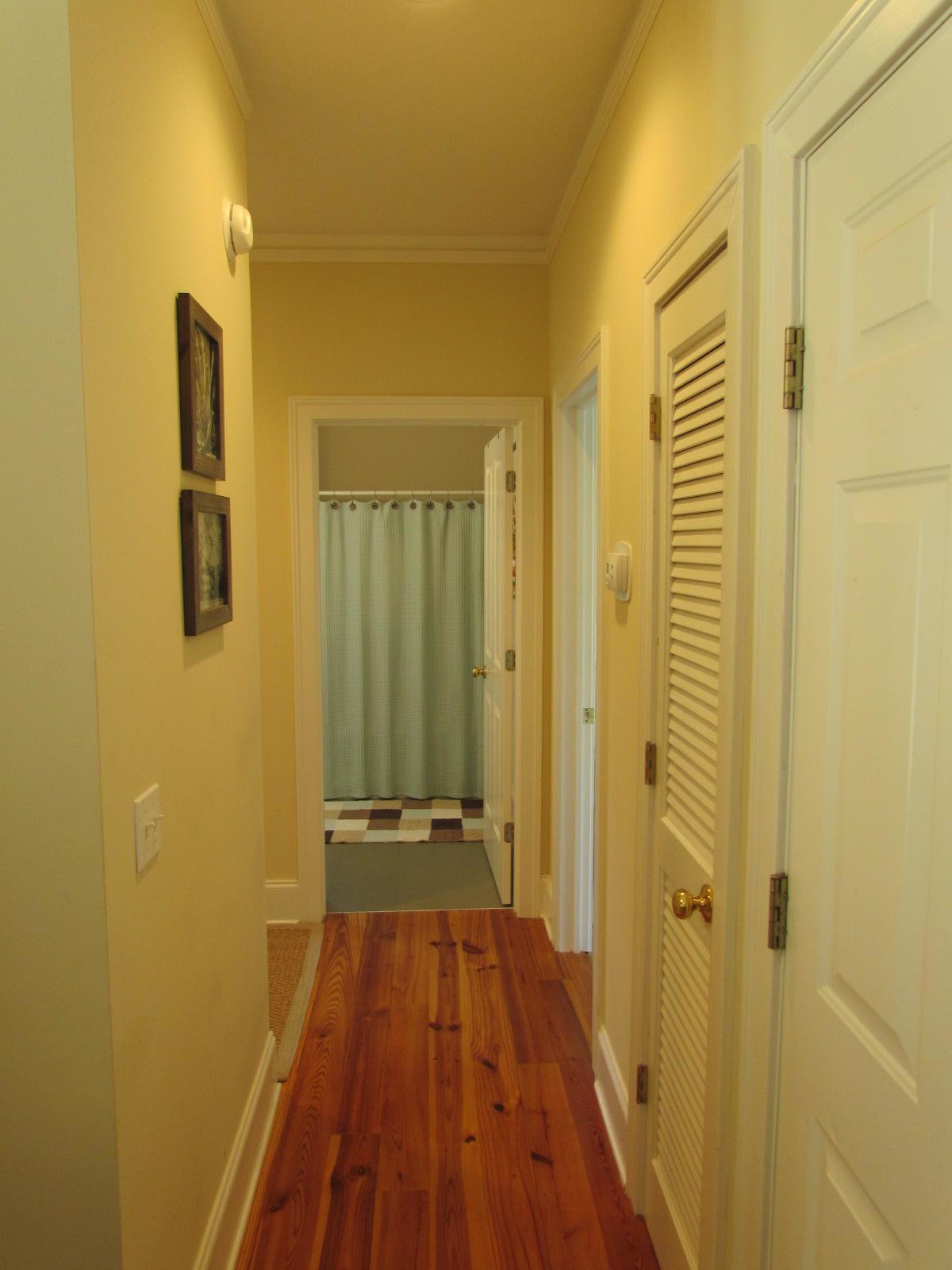 65 Rice Lane Edisto Beach, SC 29438 - Photo 23 of 42 IMG_2498