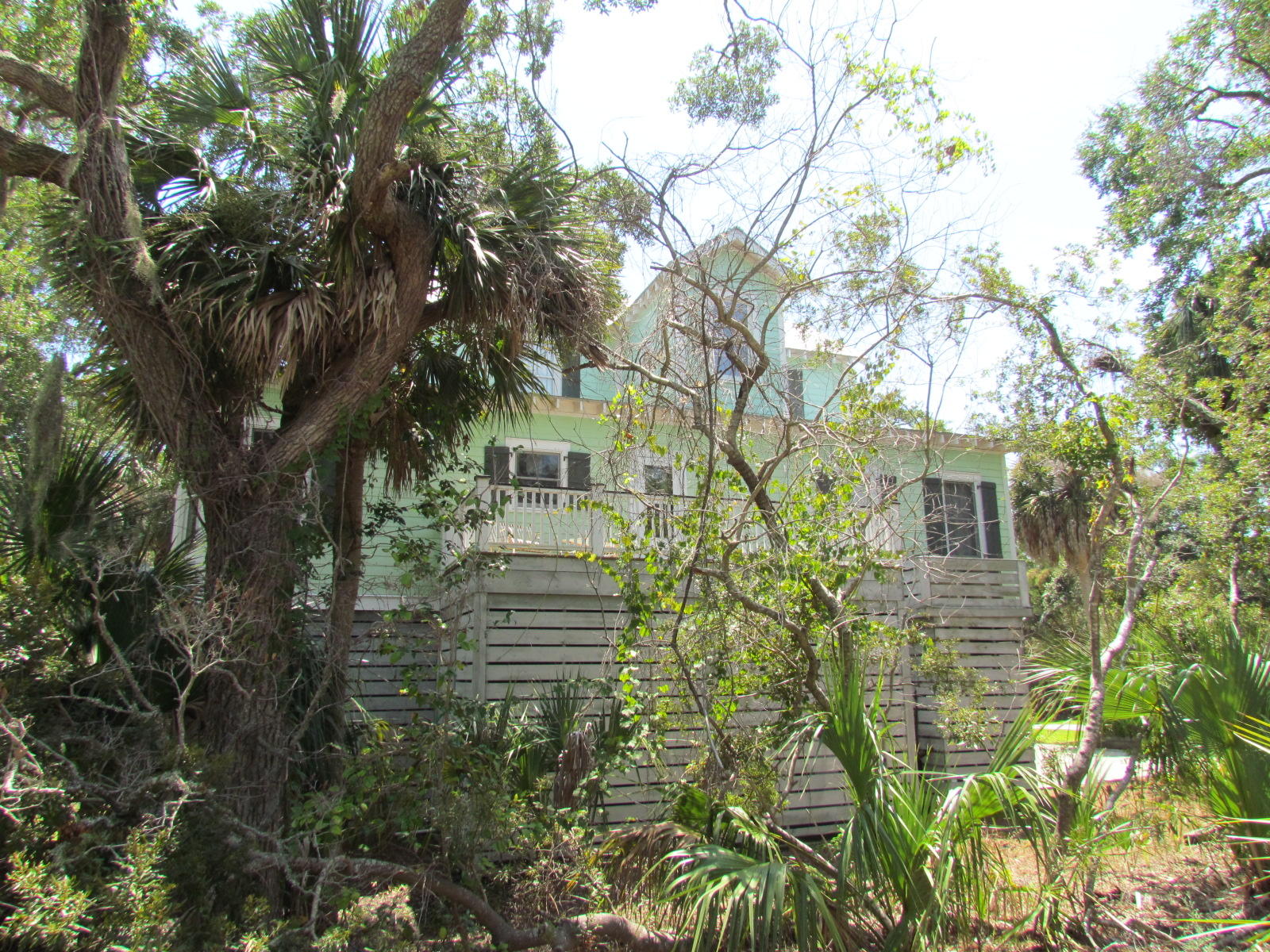 65 Rice Lane Edisto Beach, SC 29438 - Photo 10 of 42 IMG_2477