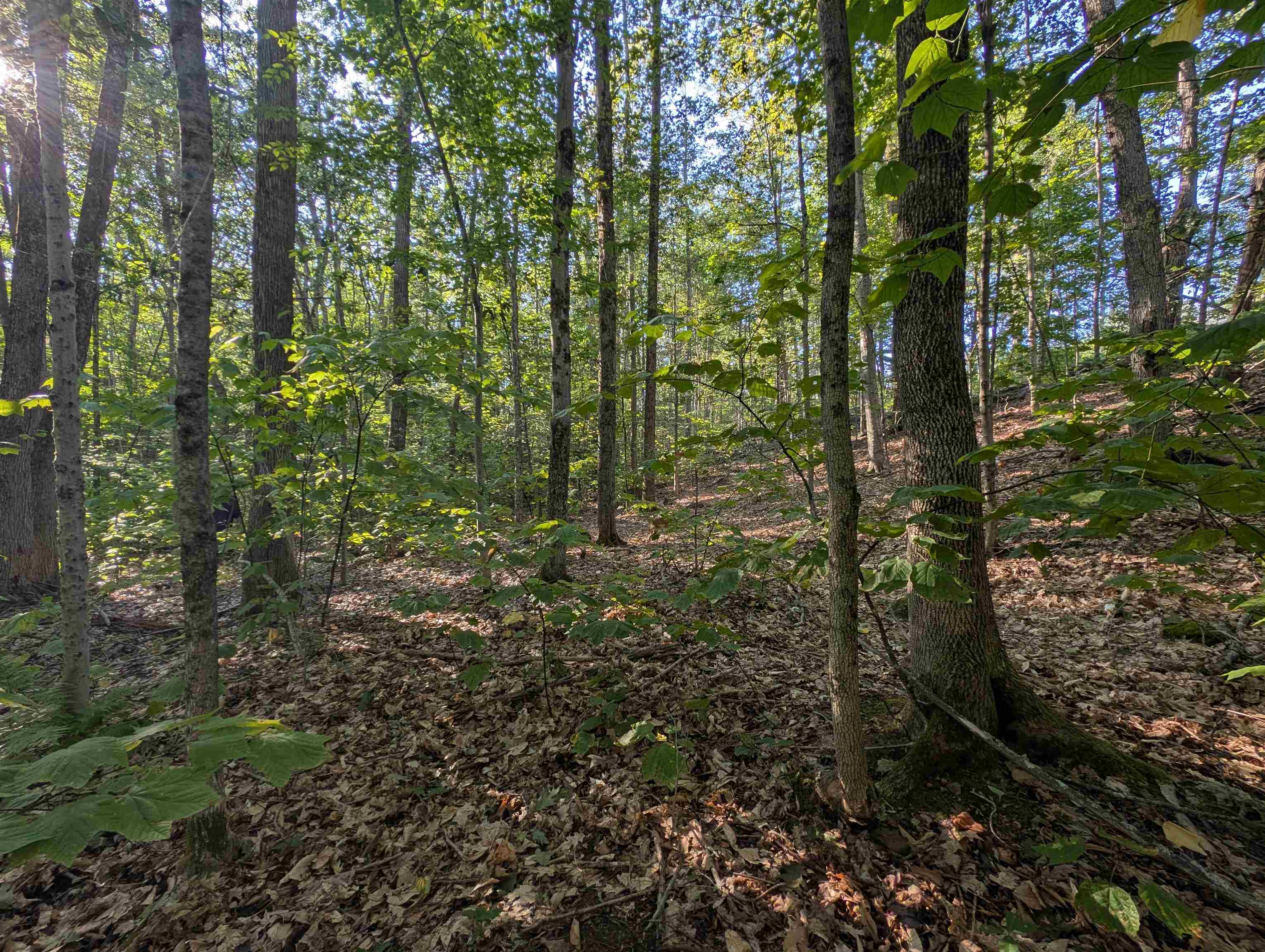 8-043-001 School House Road Francestown, NH 03043 - Photo 11 of 31