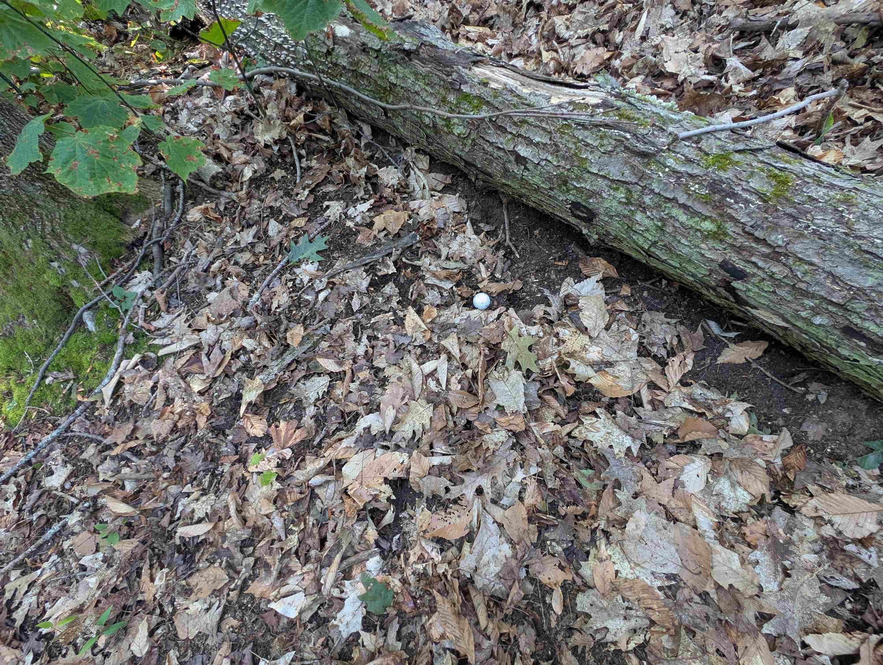 8-043-001 School House Road Francestown, NH 03043 - Photo 13 of 31