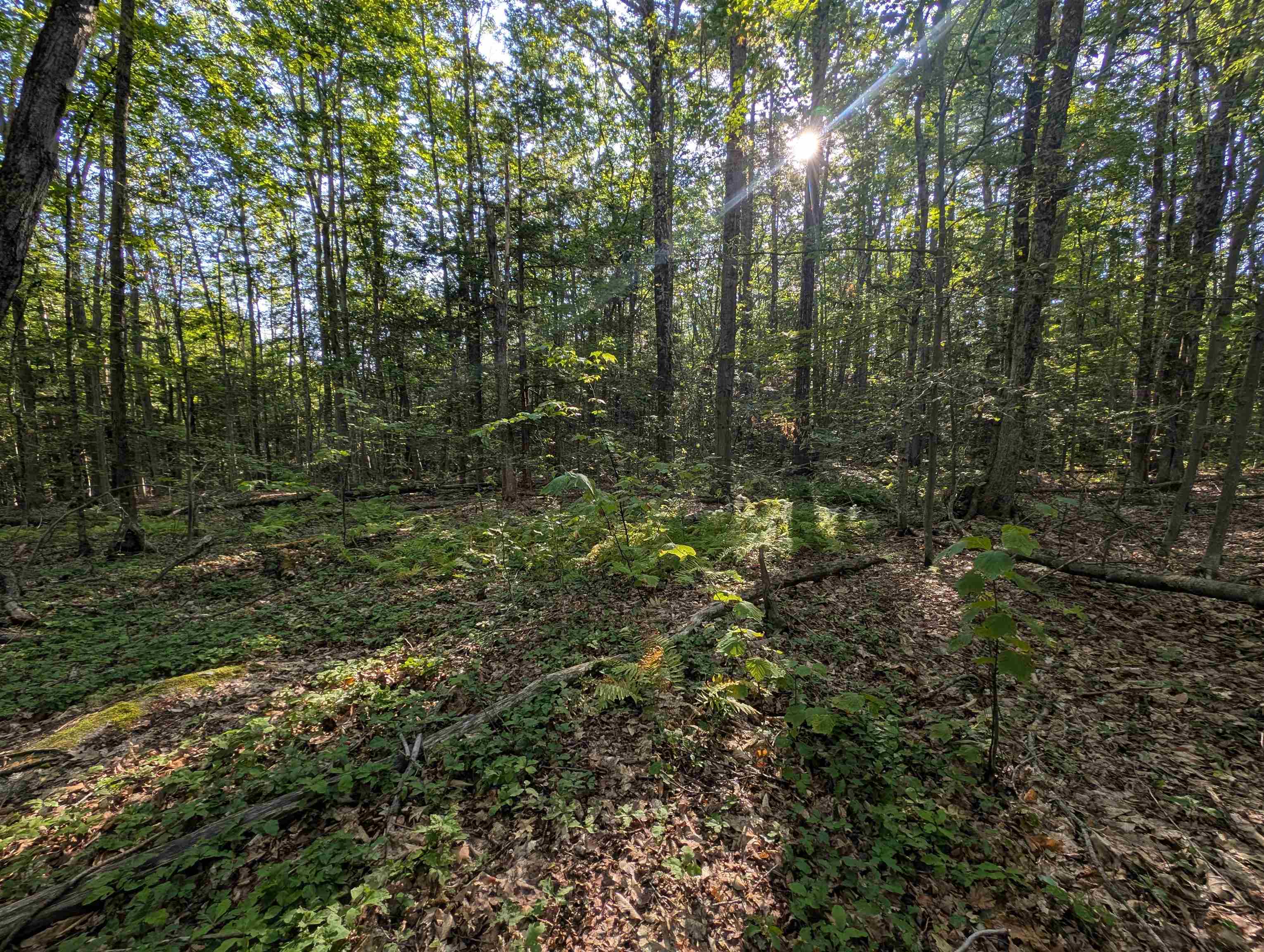 8-043-001 School House Road Francestown, NH 03043 - Photo 14 of 31