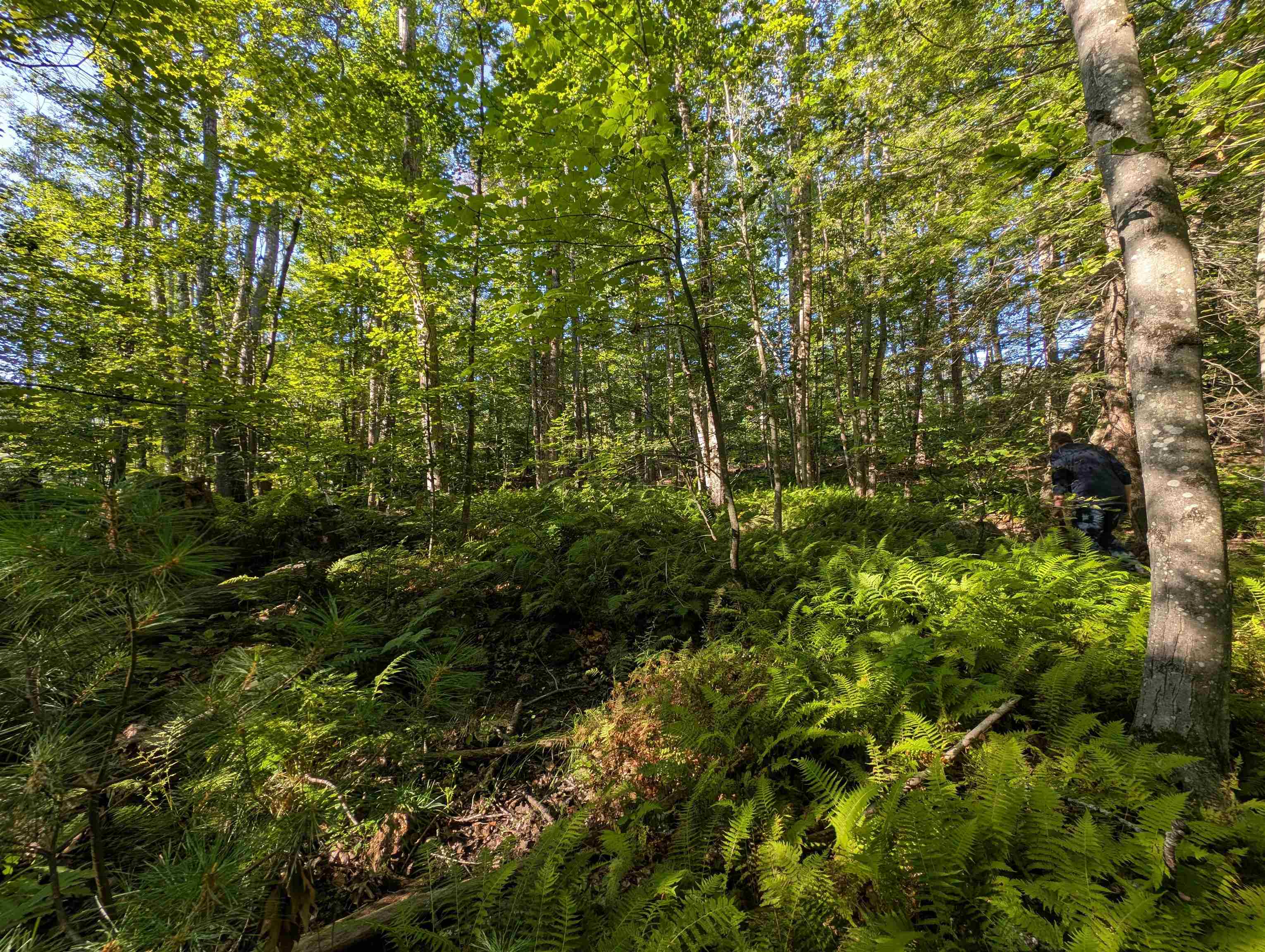 8-043-001 School House Road Francestown, NH 03043 - Photo 15 of 31