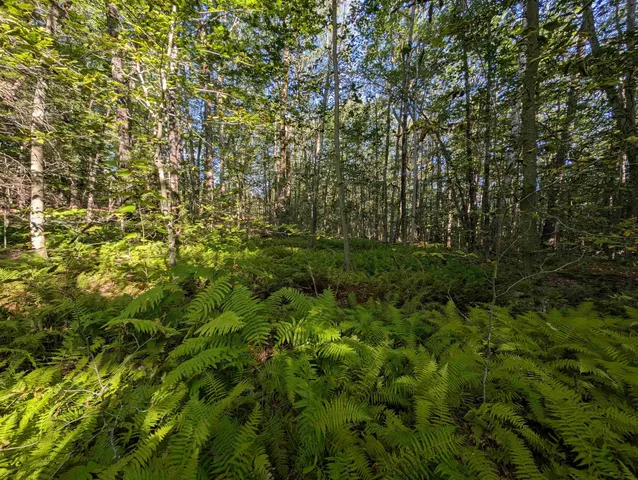 $225,000 | 8-043-001 School House Road, Francestown, NH 03043