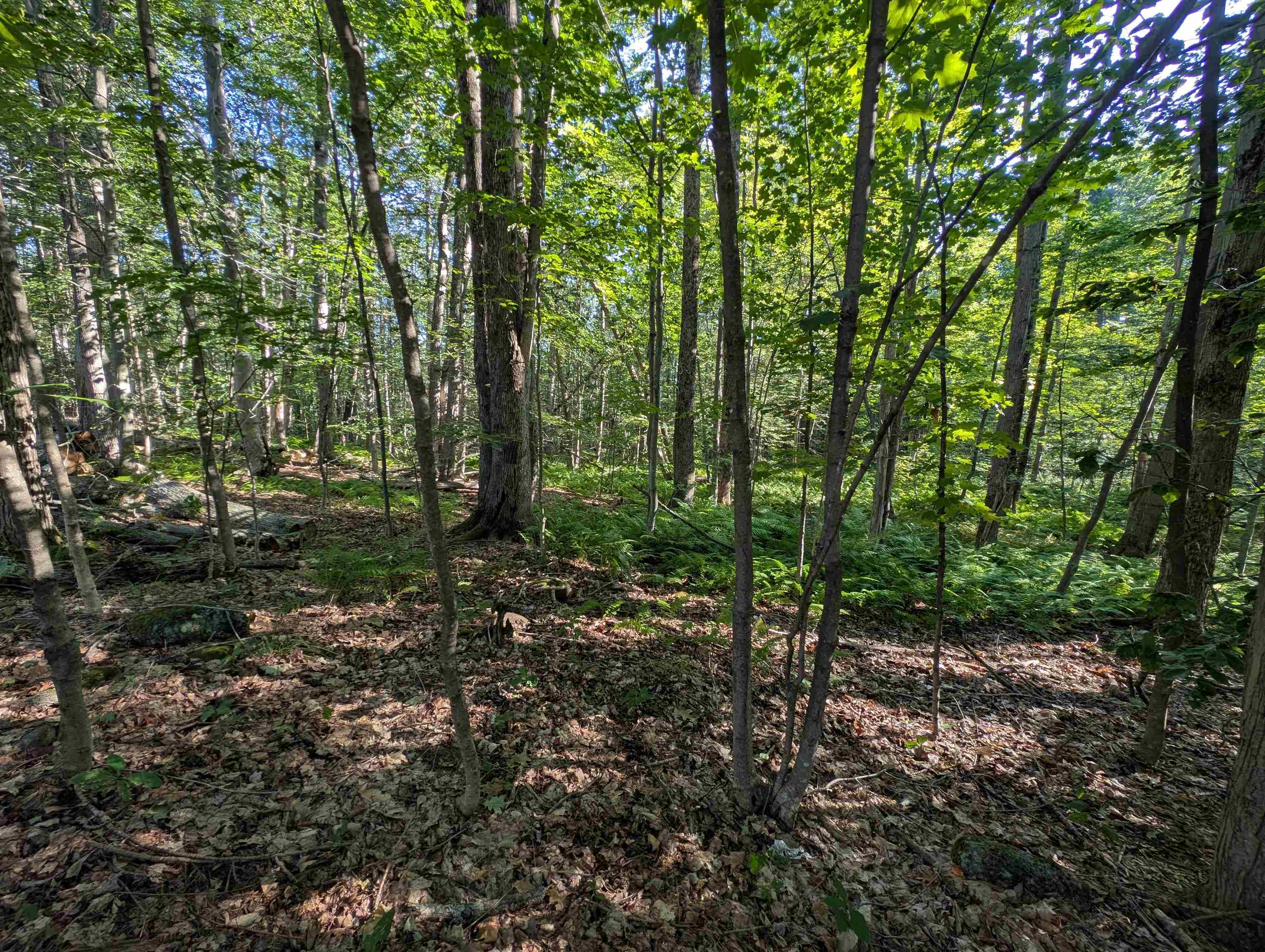 8-043-001 School House Road Francestown, NH 03043 - Photo 17 of 31