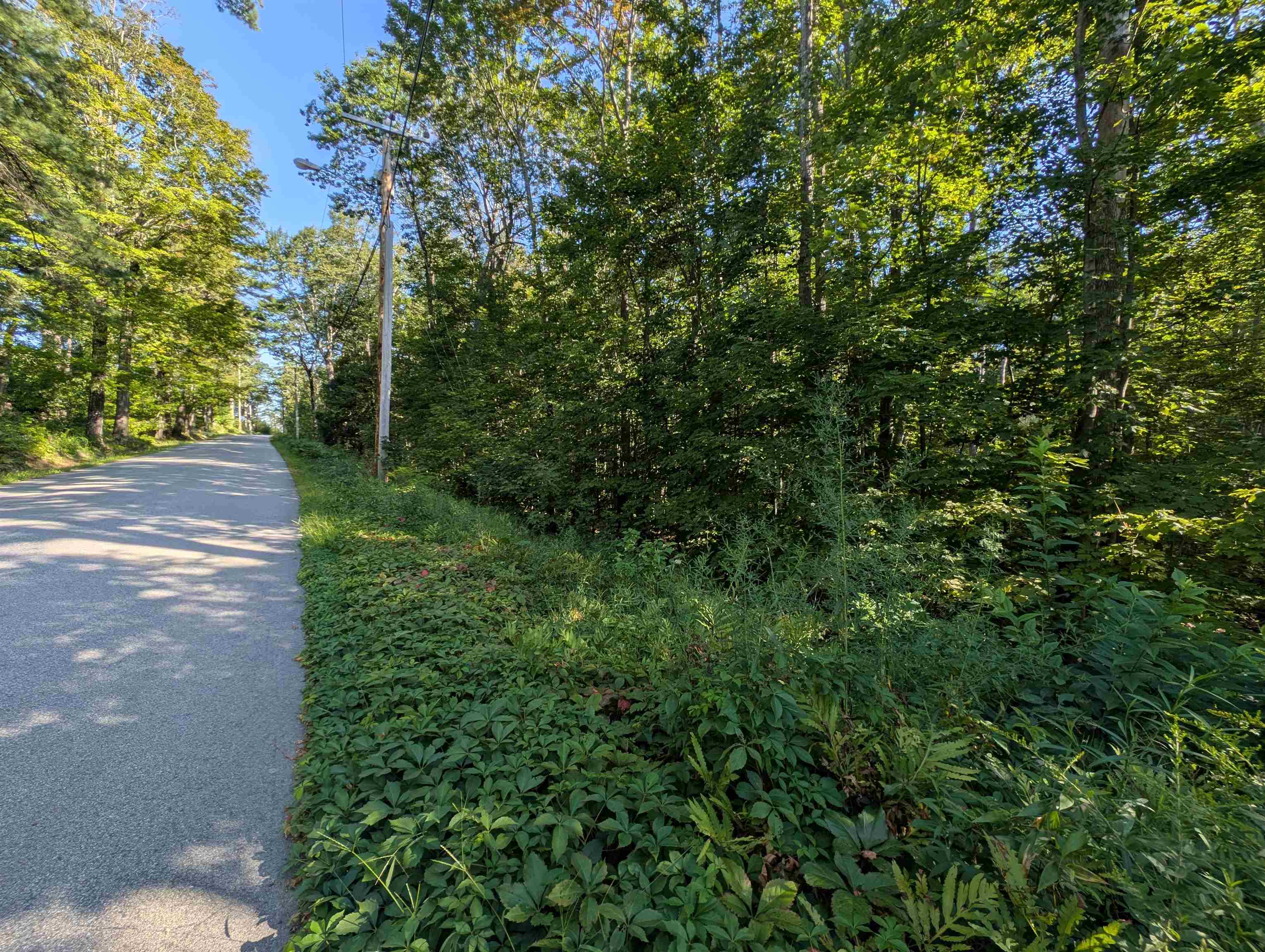 8-043-001 School House Road Francestown, NH 03043 - Photo 18 of 31