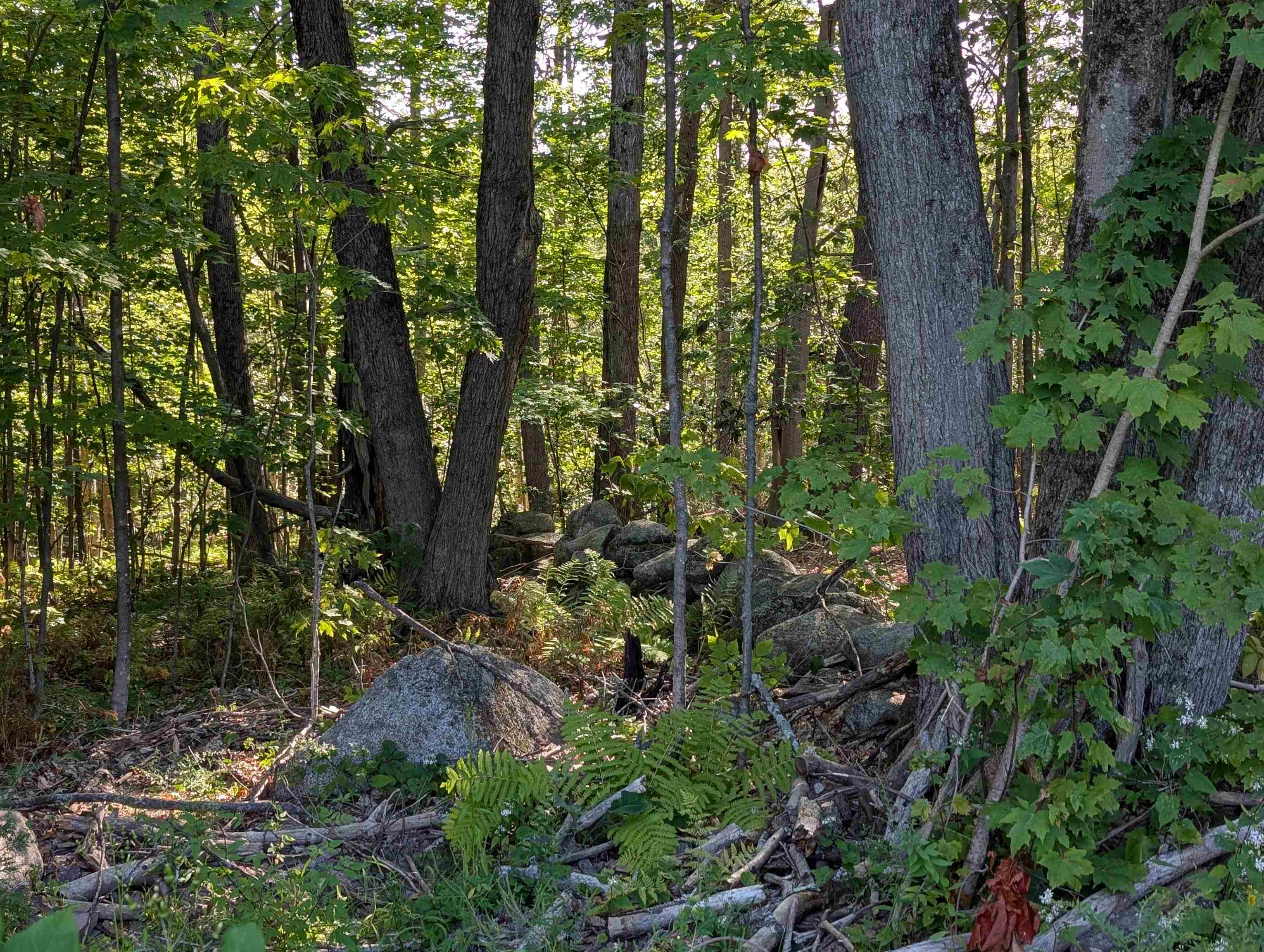 8-043-001 School House Road Francestown, NH 03043 - Photo 20 of 31