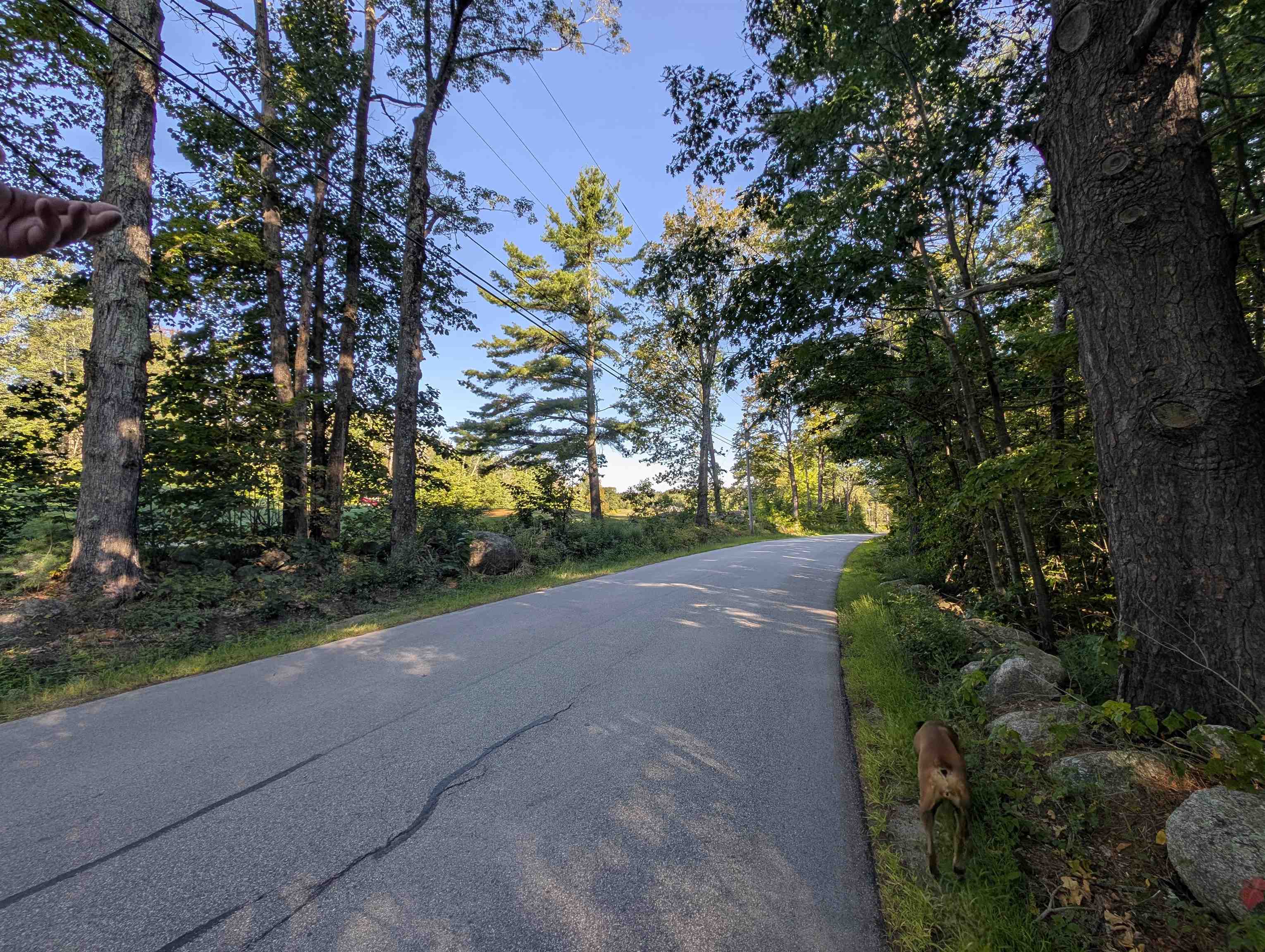 8-043-001 School House Road Francestown, NH 03043 - Photo 22 of 31