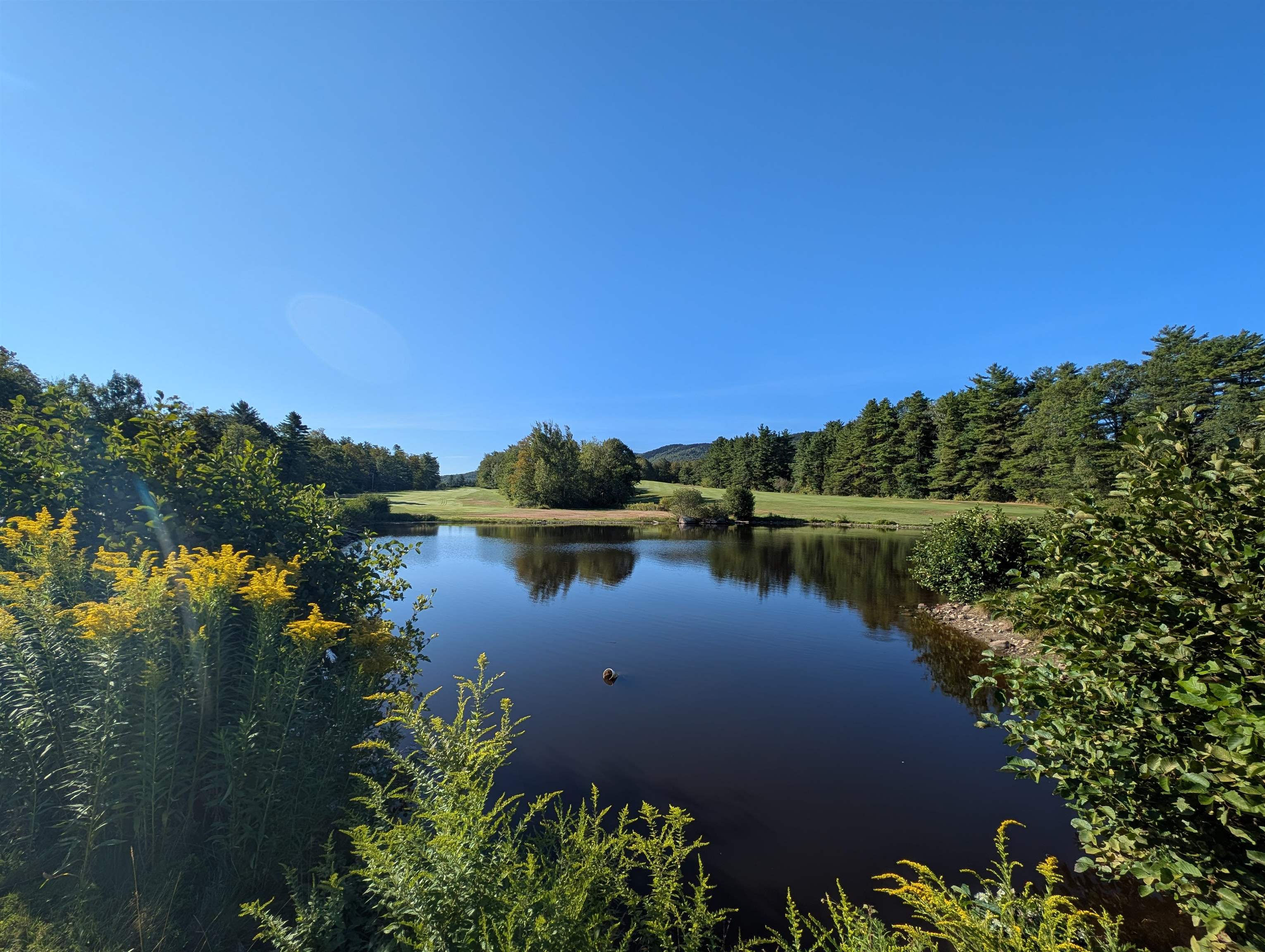 8-043-001 School House Road Francestown, NH 03043 - Photo 24 of 31