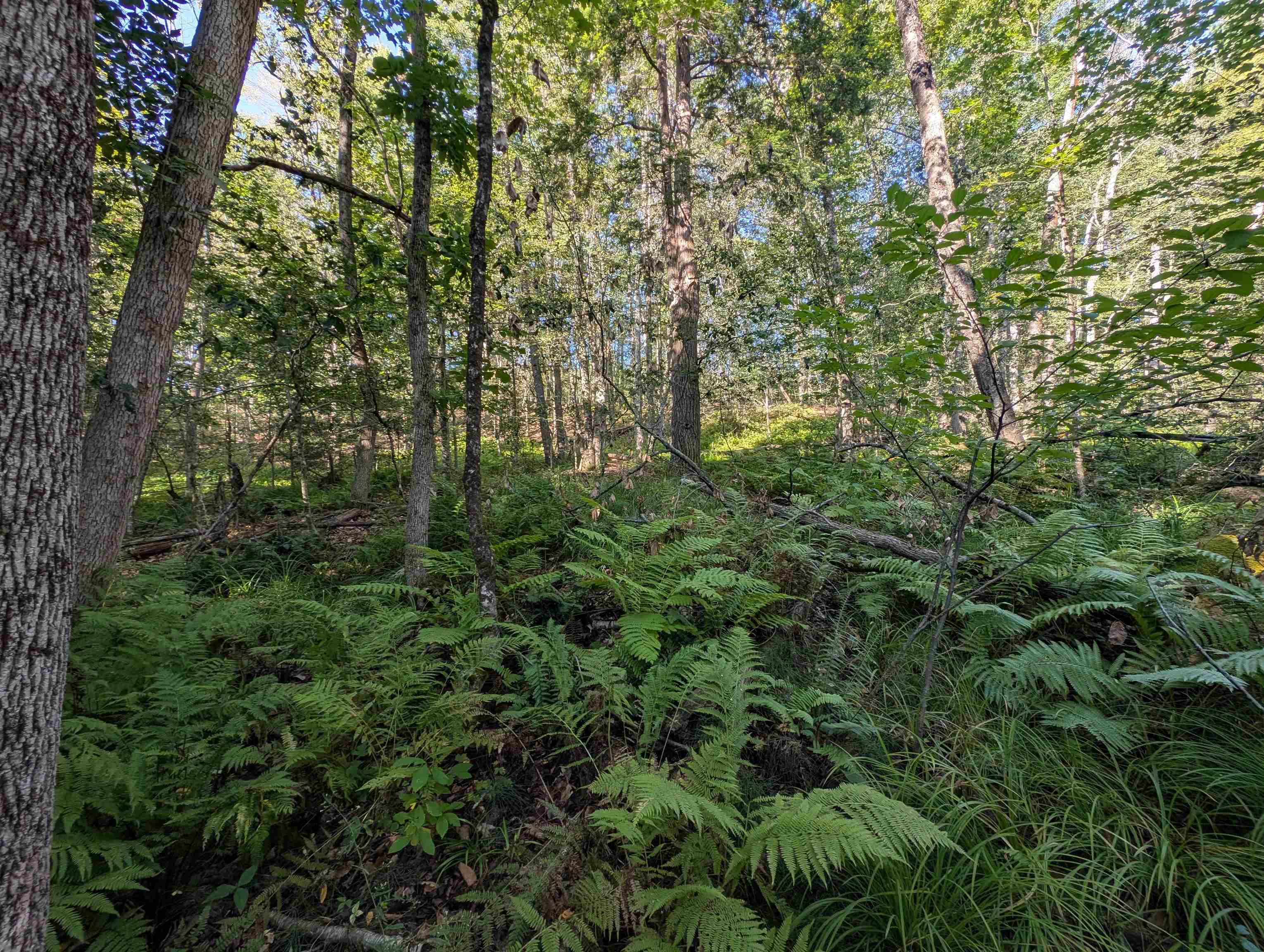 8-043-001 School House Road Francestown, NH 03043 - Photo 3 of 31