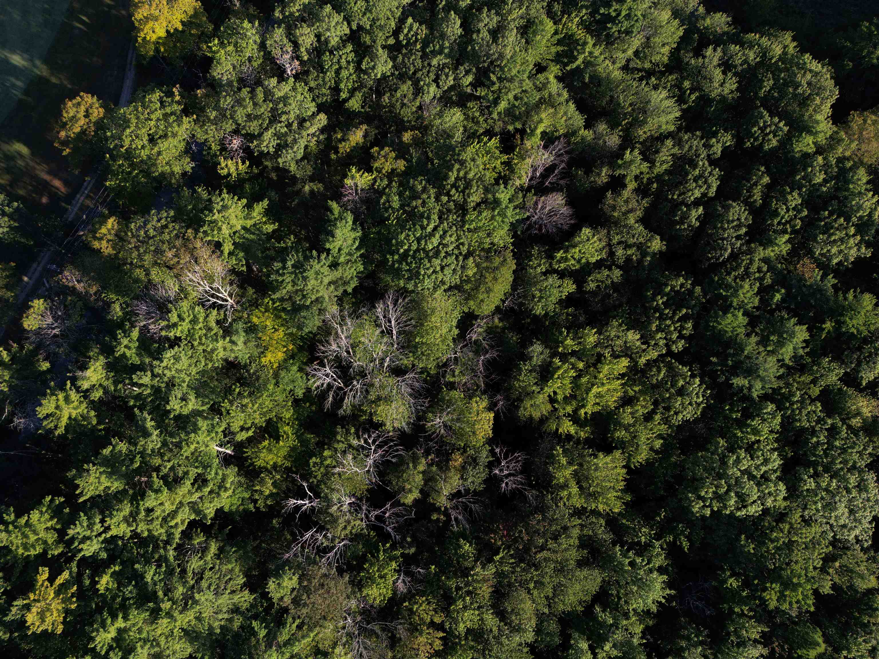 8-043-001 School House Road Francestown, NH 03043 - Photo 31 of 31